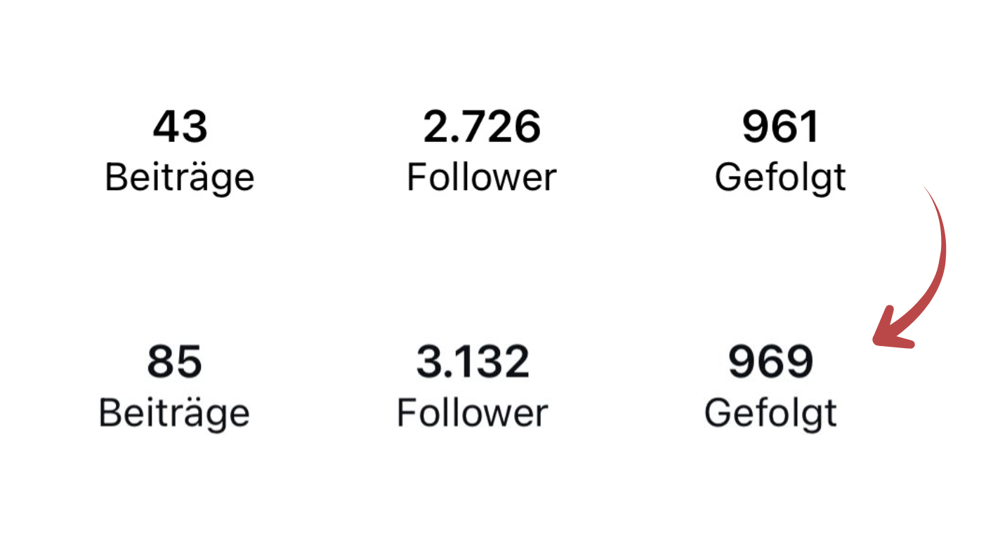 Vergleich zweier Social-Media-Statistiken mit Beiträgen, Followern und Gefolgt-Nummern.