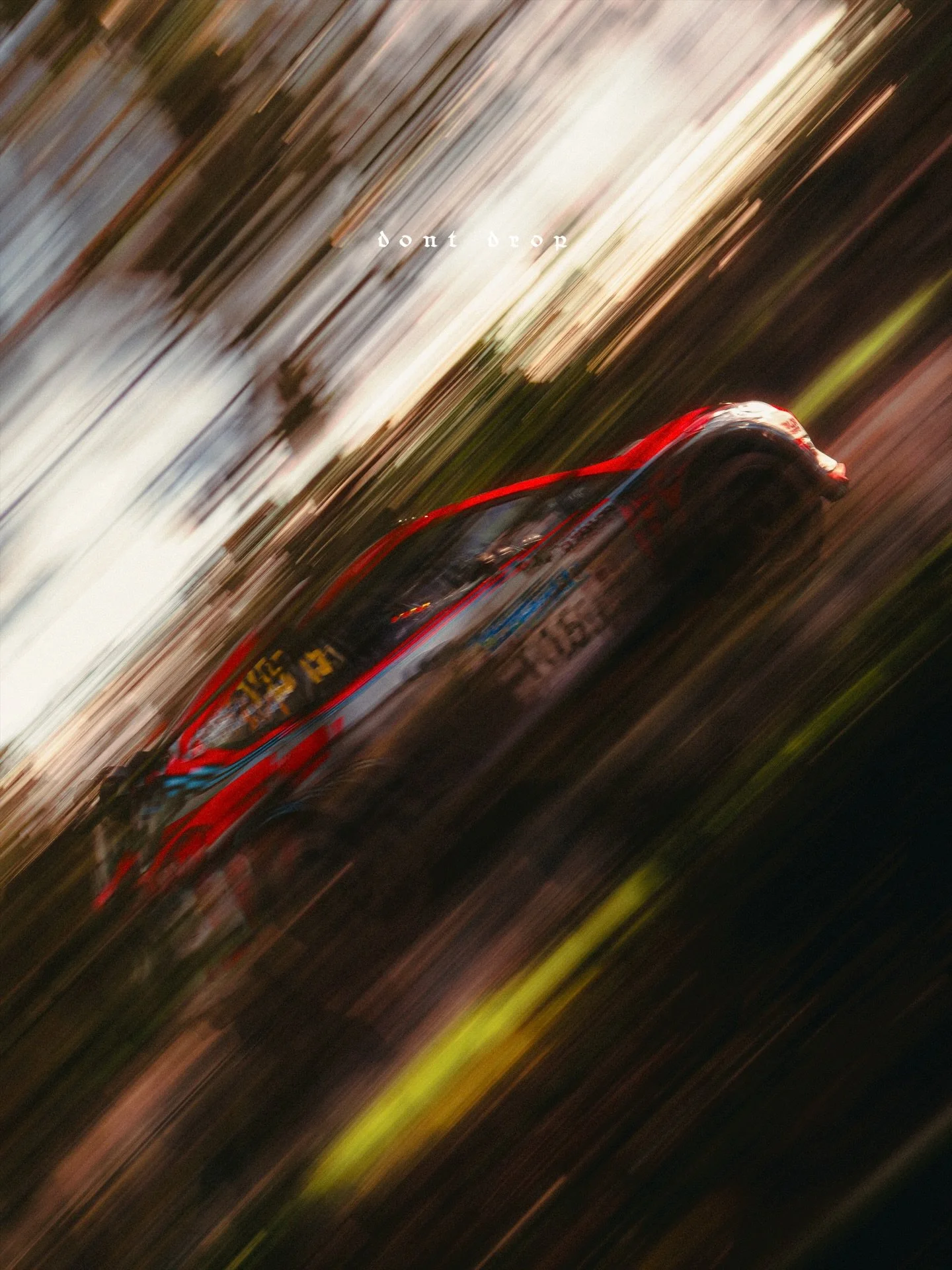 Through the bushes at the East Riding Stages.

#dontdrop #rallyphotography #wrc #eastridingstagesrally