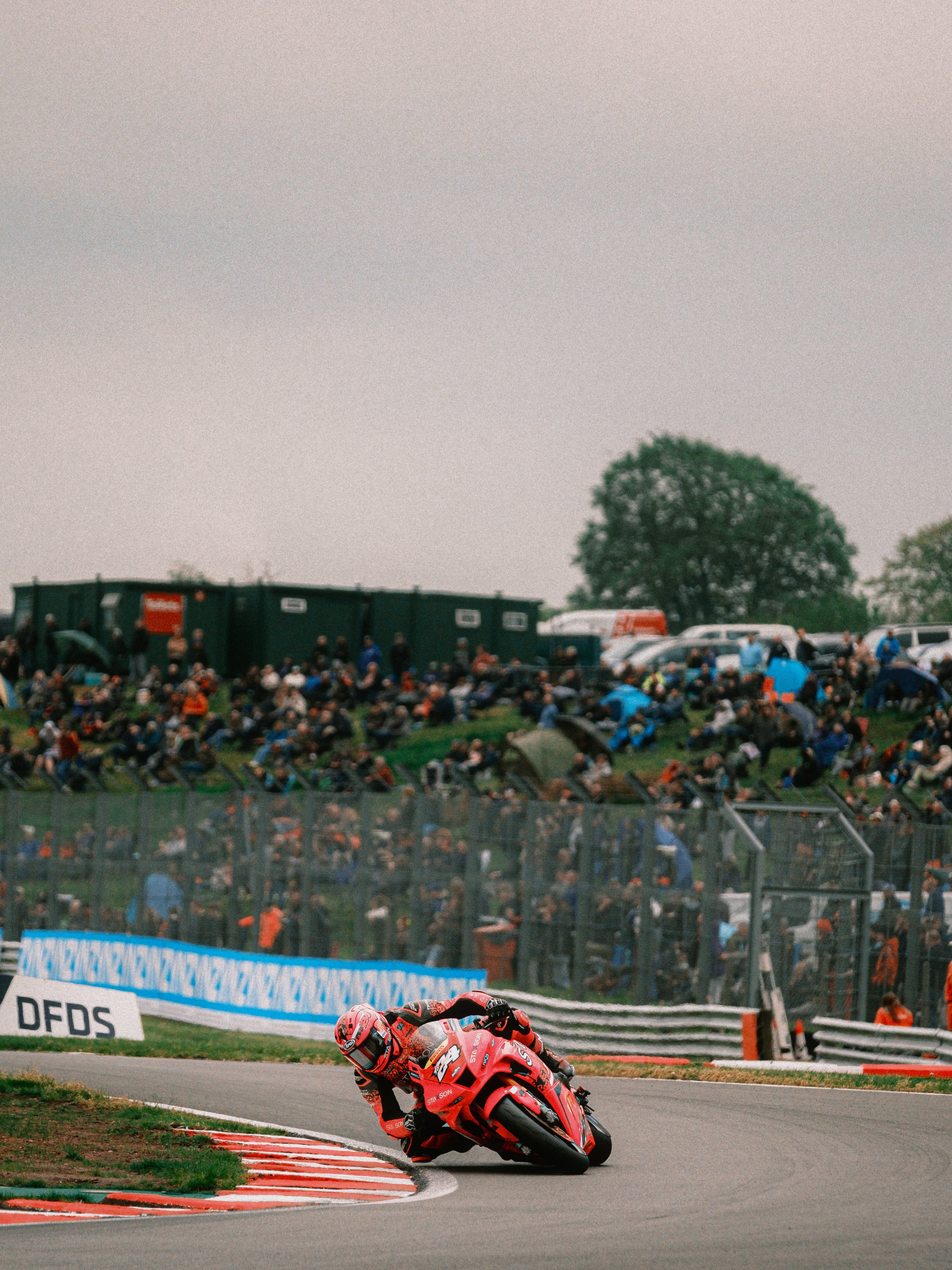 DSCF3733-Edit.jpg