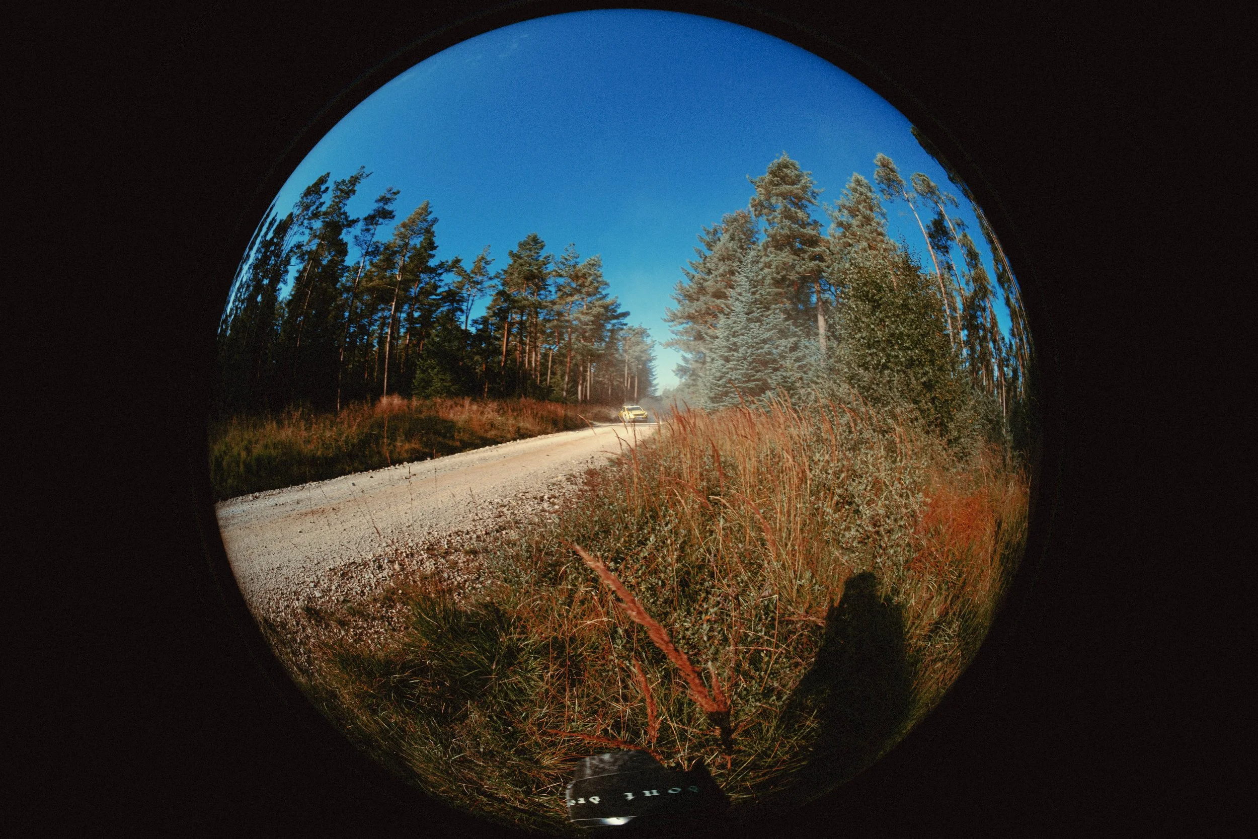 DSCF9317.jpg