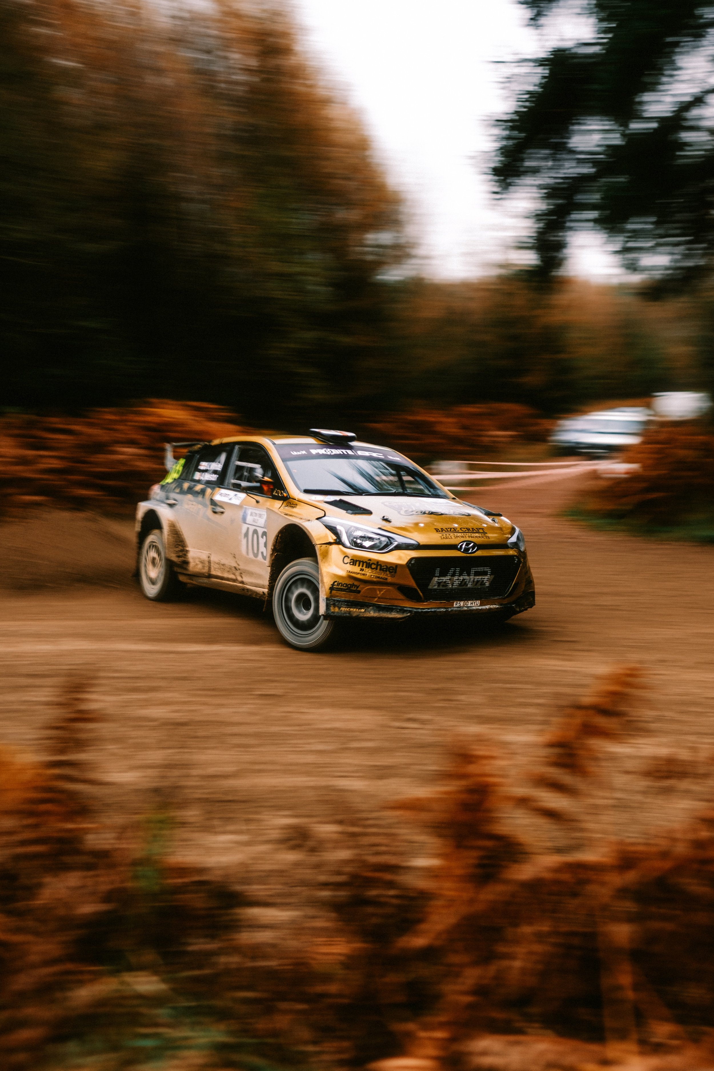 Rally 1.jpg