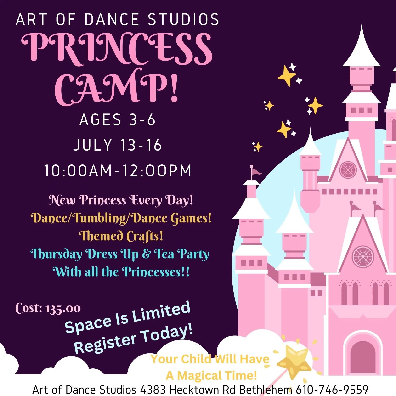 Princess Camp Pic only  2026.jpg