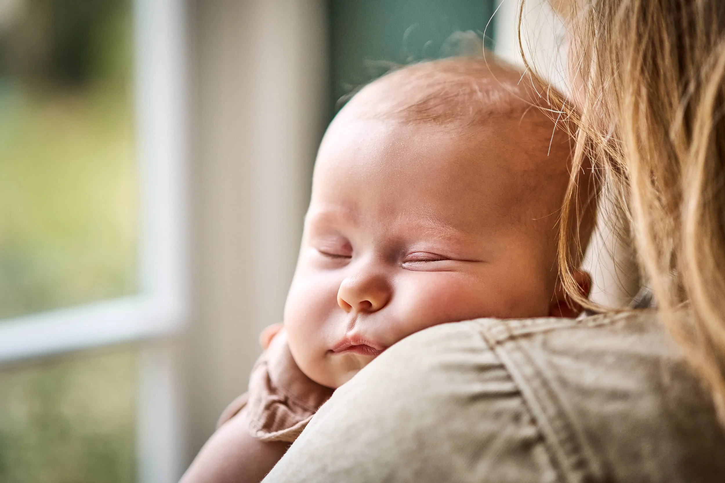 Toddle About E-Shot.jpg