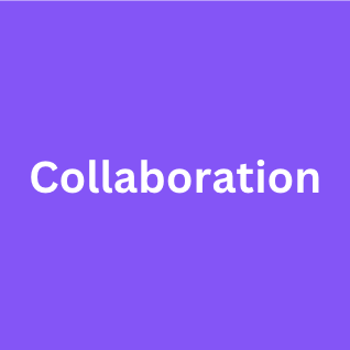 Working in groups and building on each other's ideas