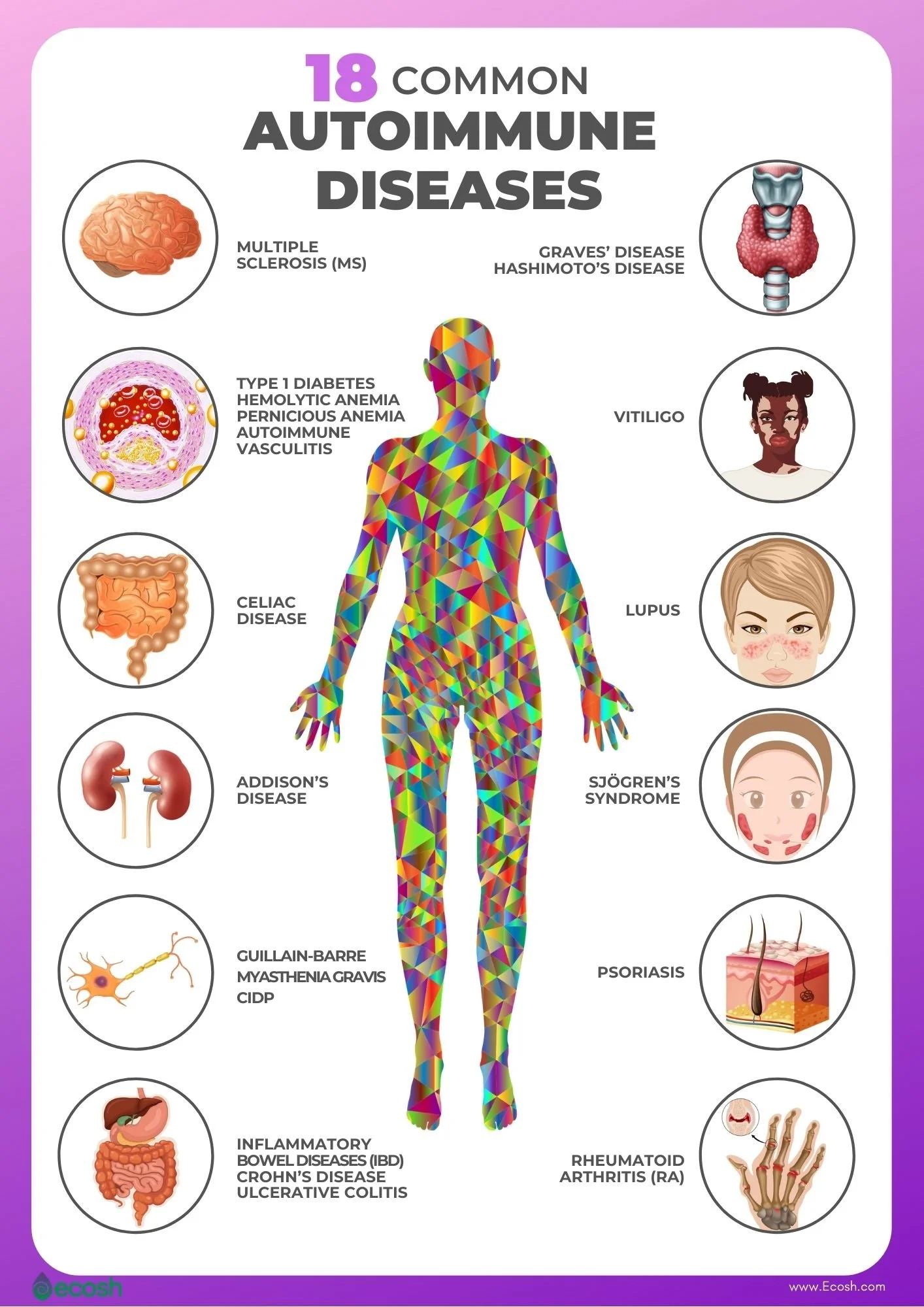 Ecosh_18_Common_Autoimmune_Diseases_Autoimmune_Diseases_Risk_Factors_Autoimmune_Diseases_List_Vitiligo_Inflammatory_Bowel_Disease_IBD_Multiple_Sclerosis_Graves_Disease_Rheumatoid_Arthritis.jpg
