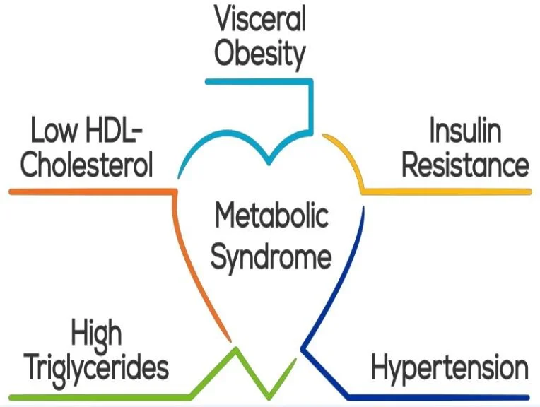 Metabolic-Syndrome-Causes-and-Symptoms.jpg
