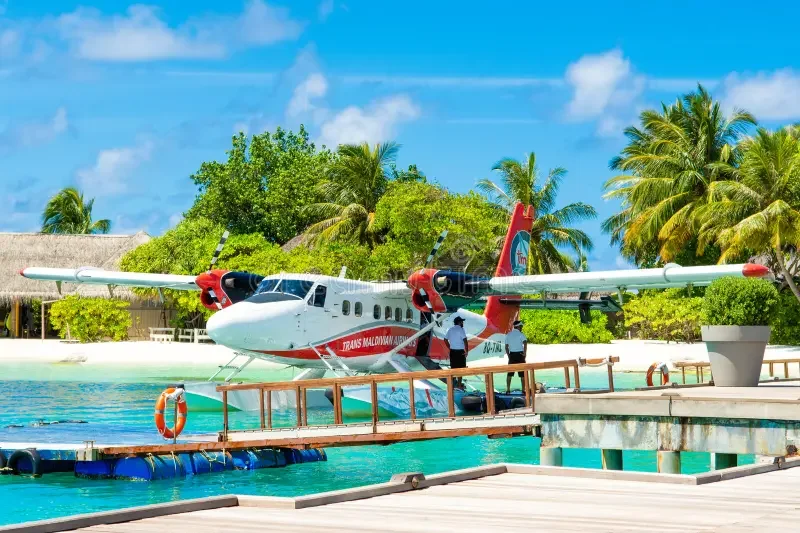 Seaplane on the water near a tropical island with palm trees and a dock in the foreground.