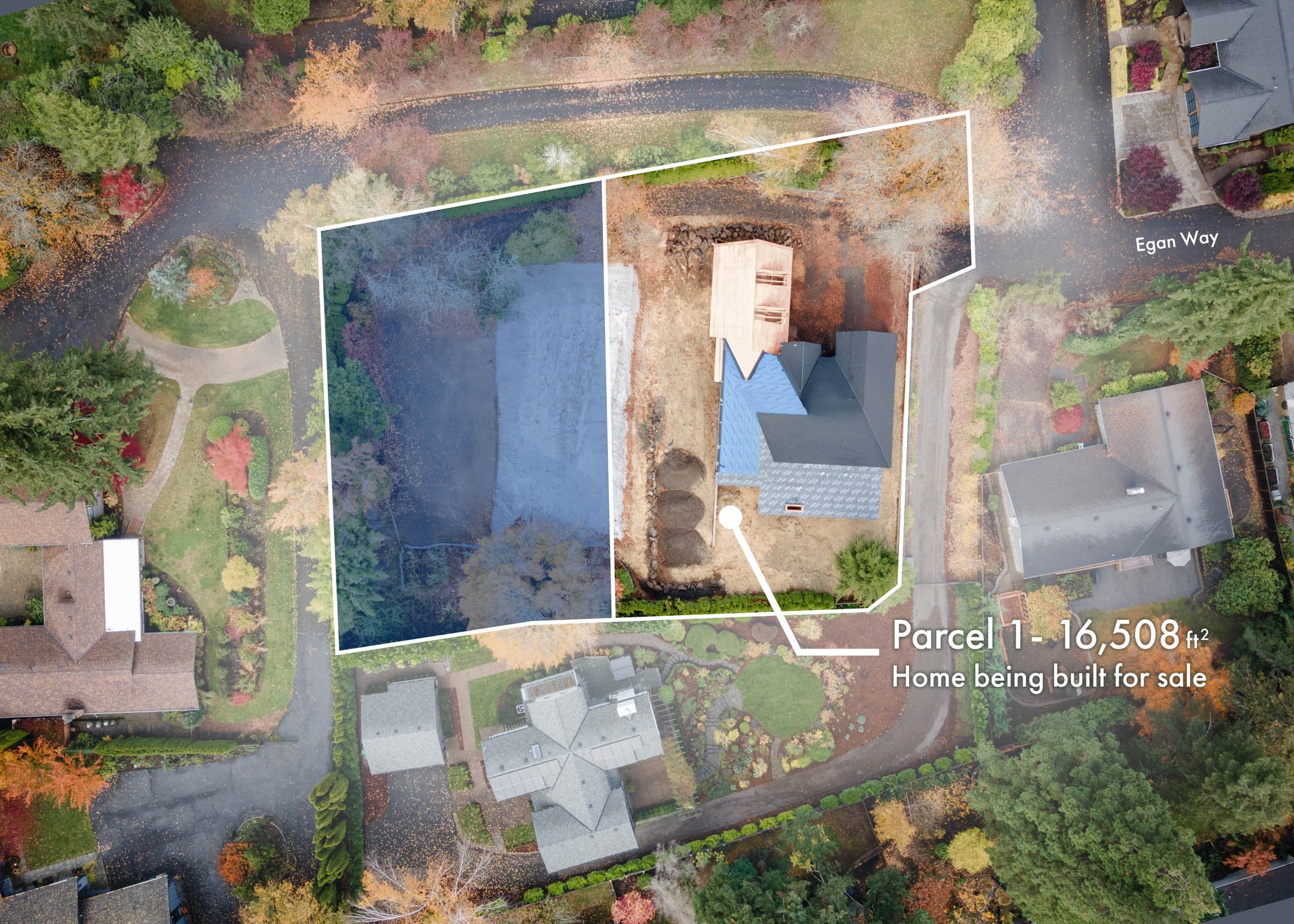 Egan Parcel 1 Birds Eye.jpeg