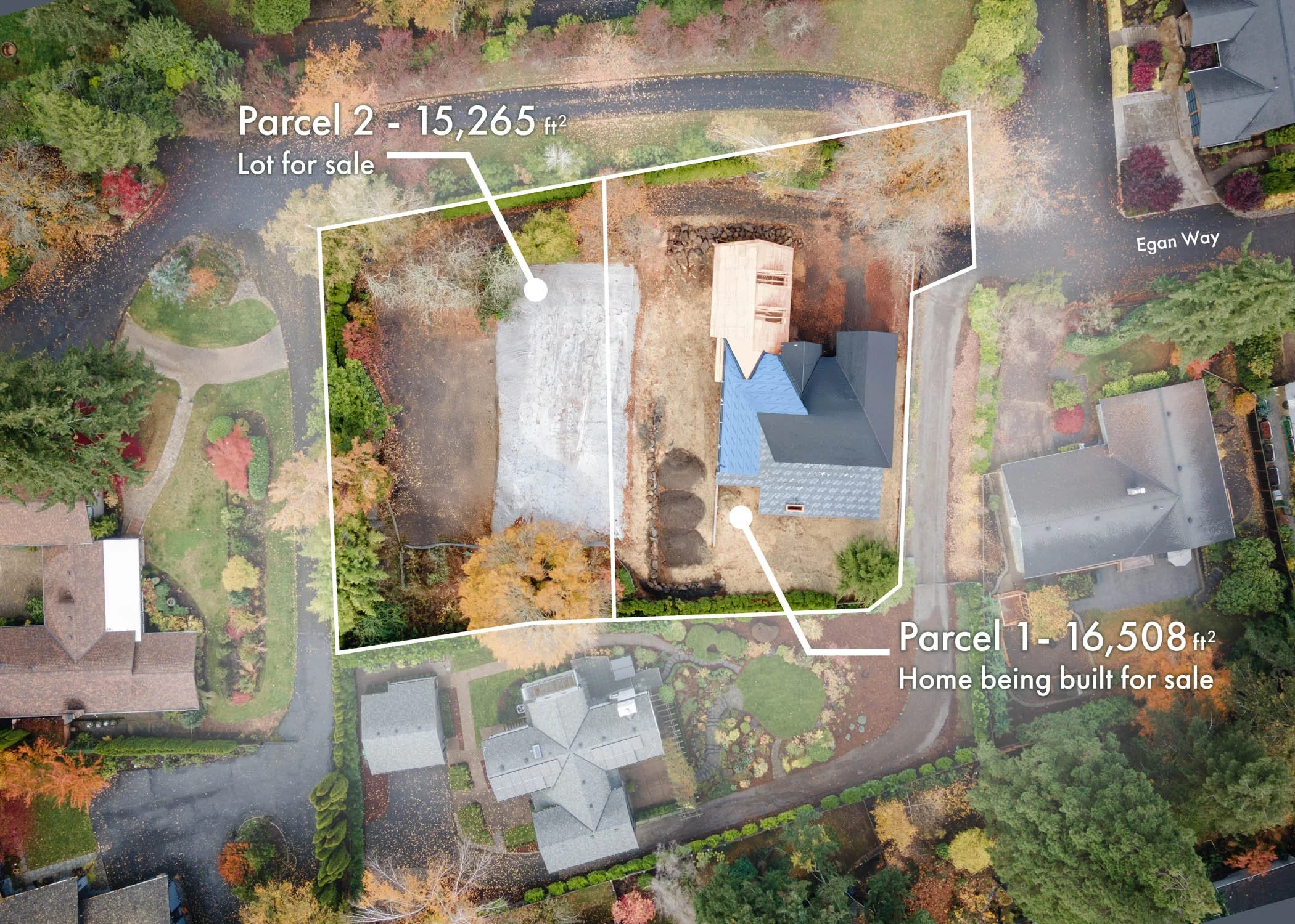 Egan Birds Eye Both Lots.jpg