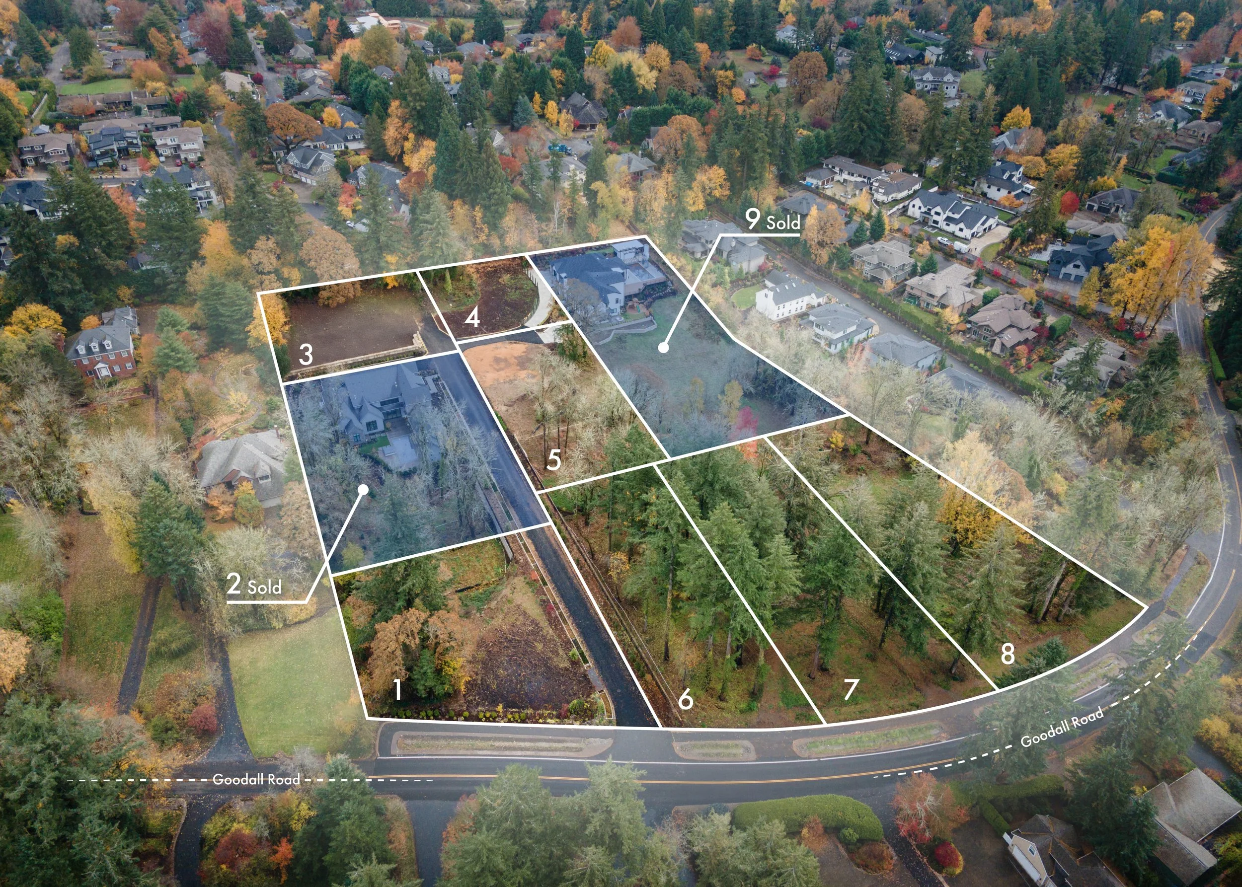 Goodall Main Photo.jpeg