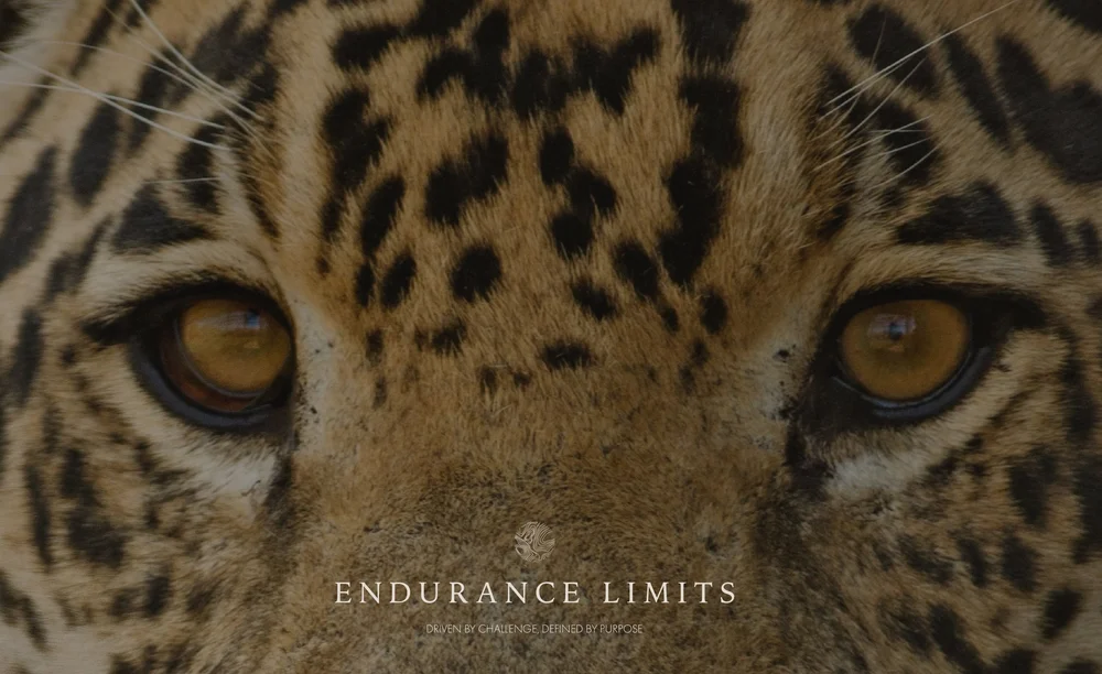 Endurance Limits branding project by BCLR