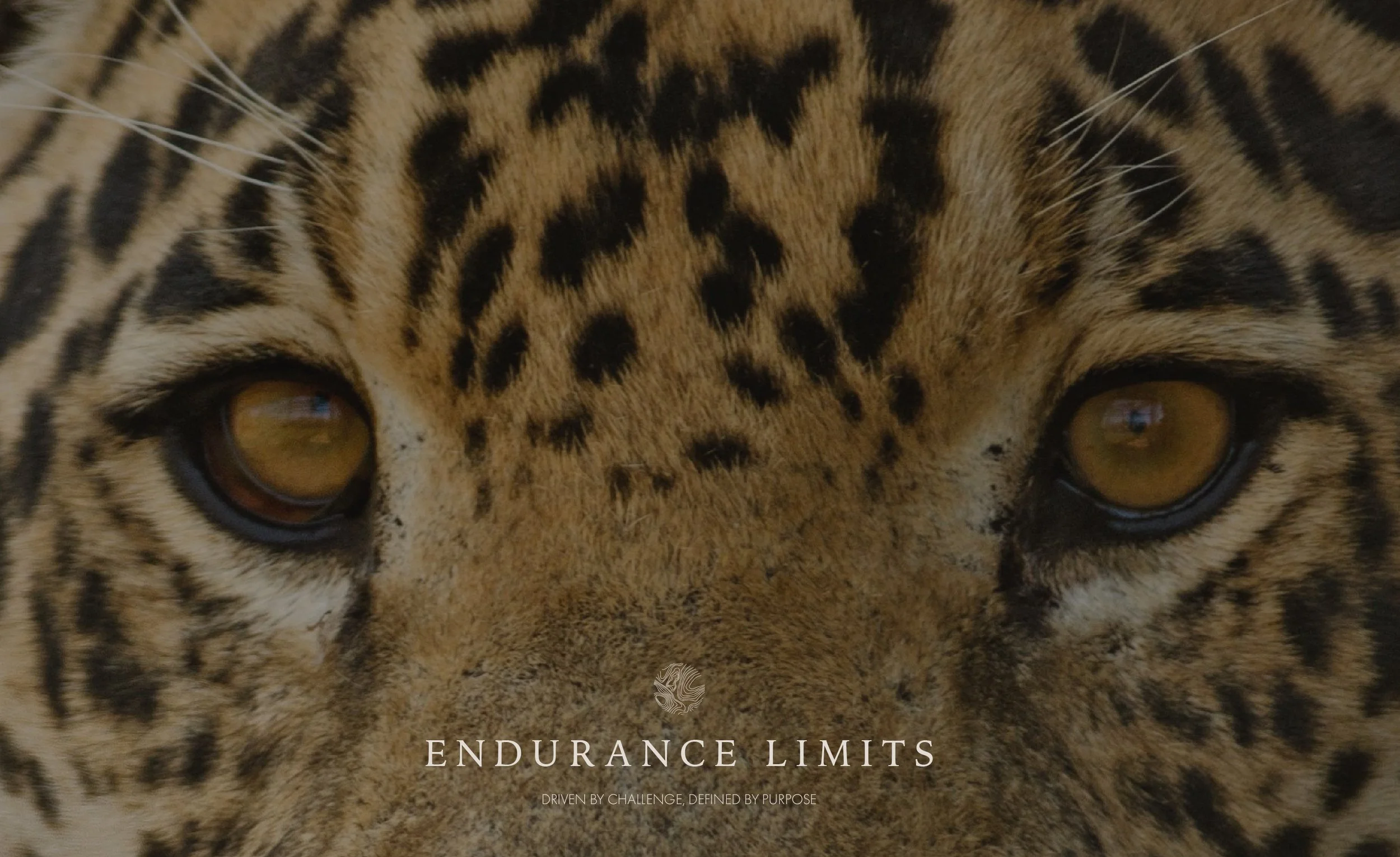 Endurance Limits