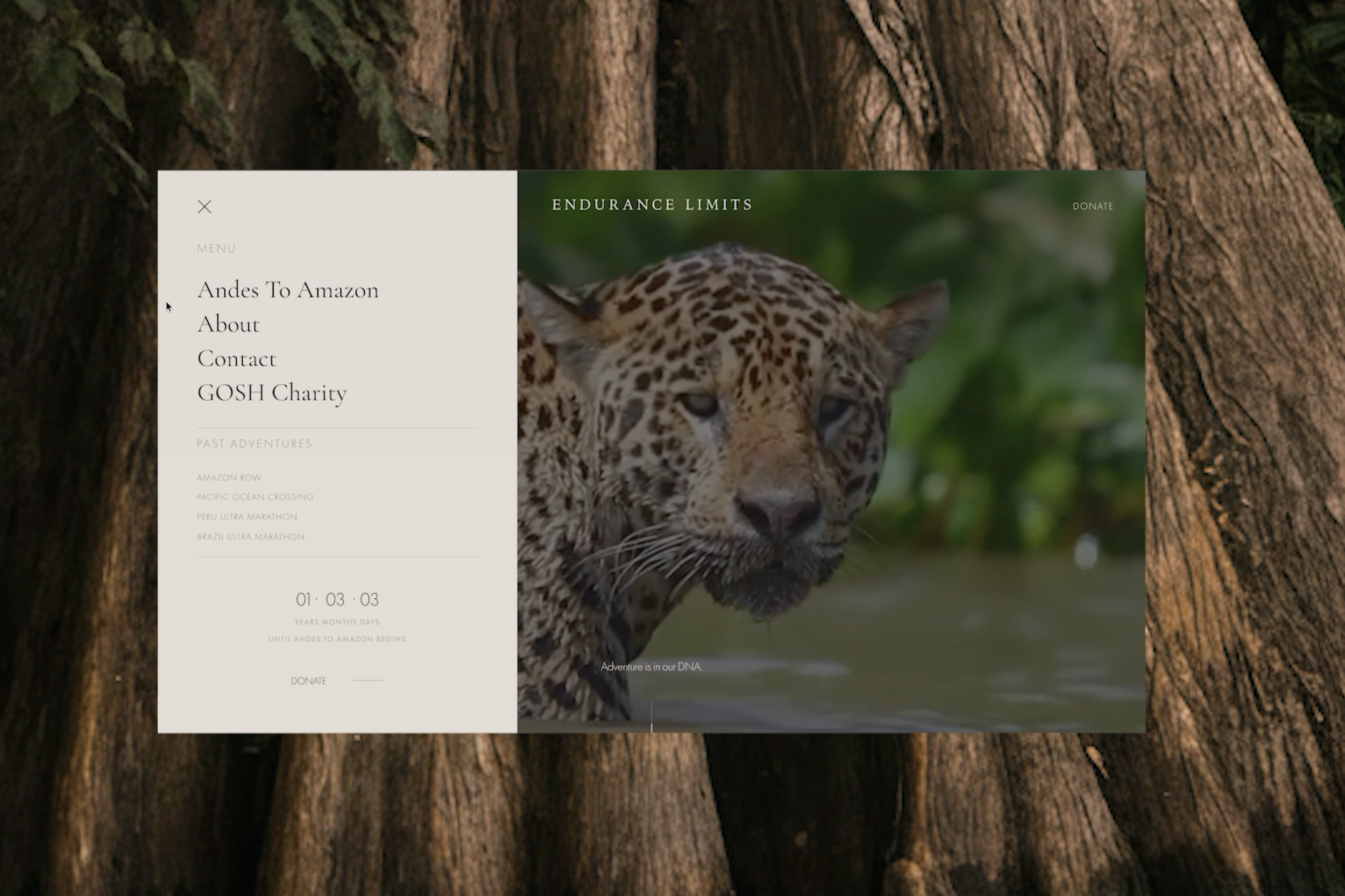 LUXURY DIGITAL PRESENCE FOR HERITAGE BRANDS: WHY YOUR WEBSITE MUST HOLD THE SAME STANDARD AS YOUR PRINTED MATERIALS