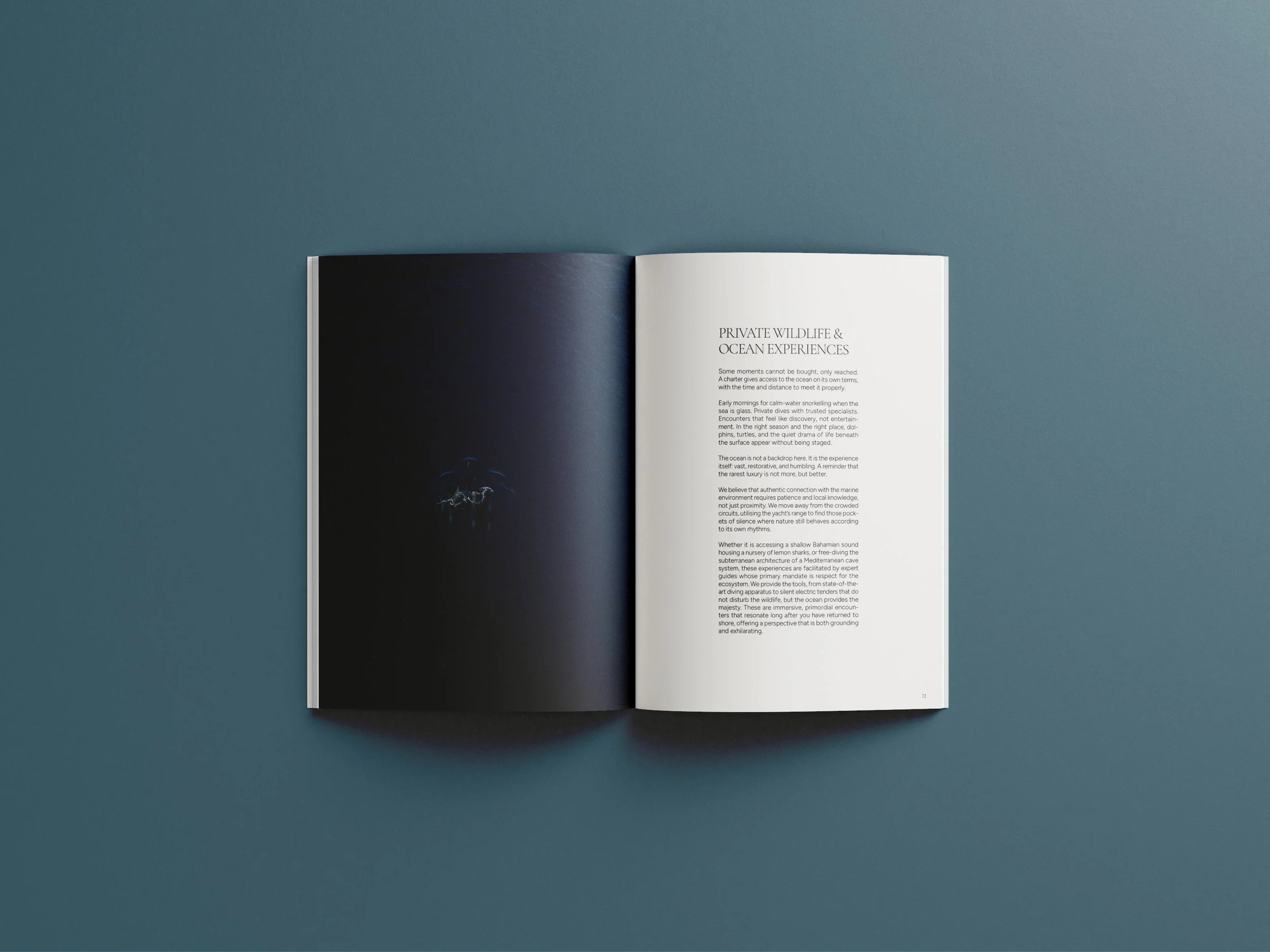 Editorial spread highlighting private wildlife and ocean experiences for The Art Of The Charter luxury yacht brochure by BCLR.