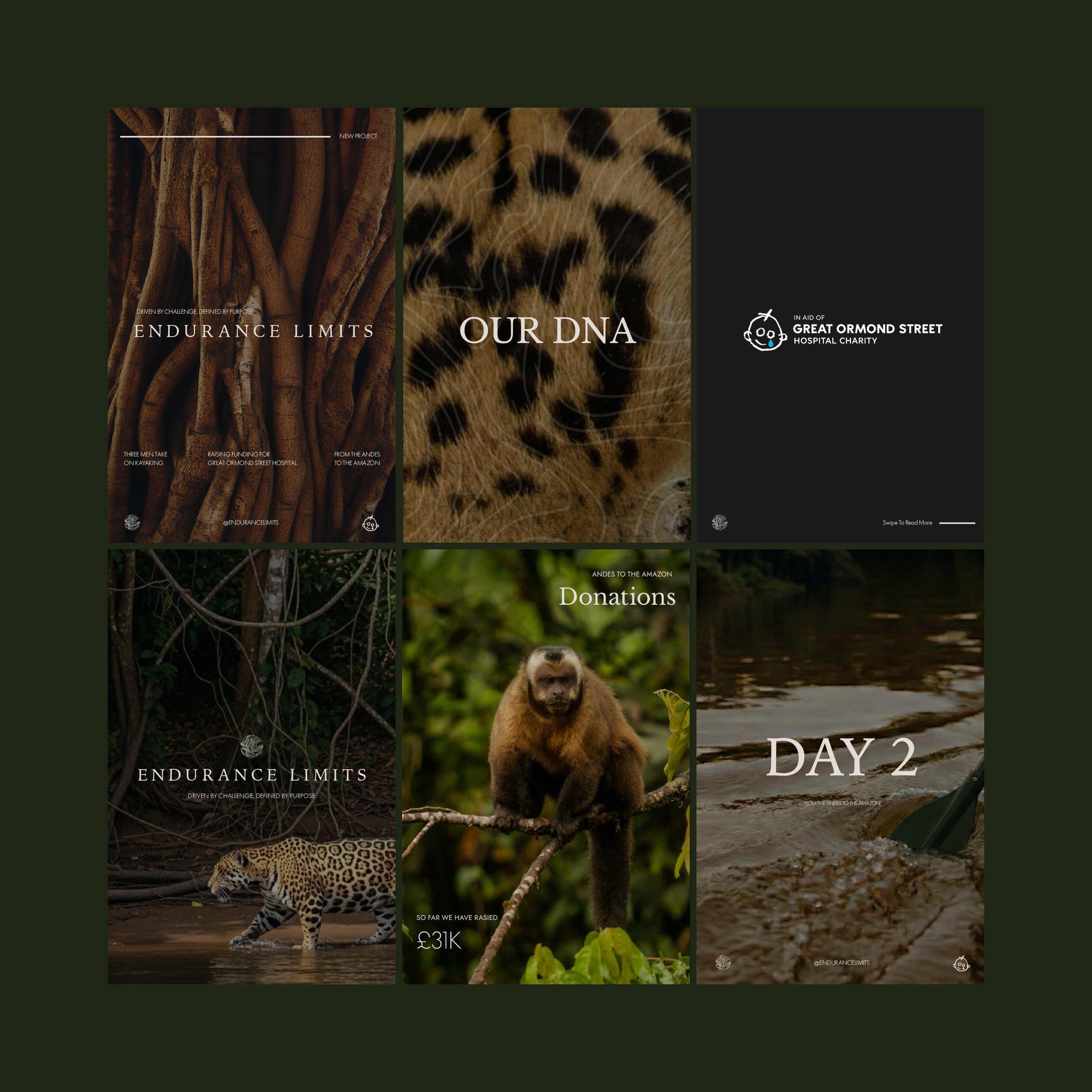 Instagram grid displaying BCLR luxury branding and visual identity for Endurance Limits in aid of GOSH, created by a luxury design studio.