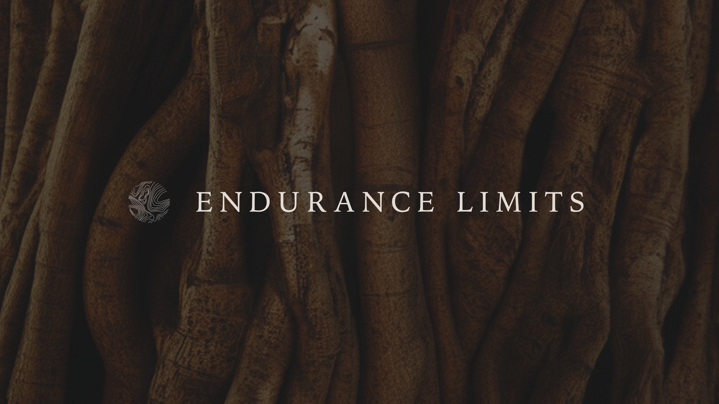 Hero image featuring the Endurance Limits logo designed by BCLR, luxury branding and website for GOSH, by a luxury design studio.