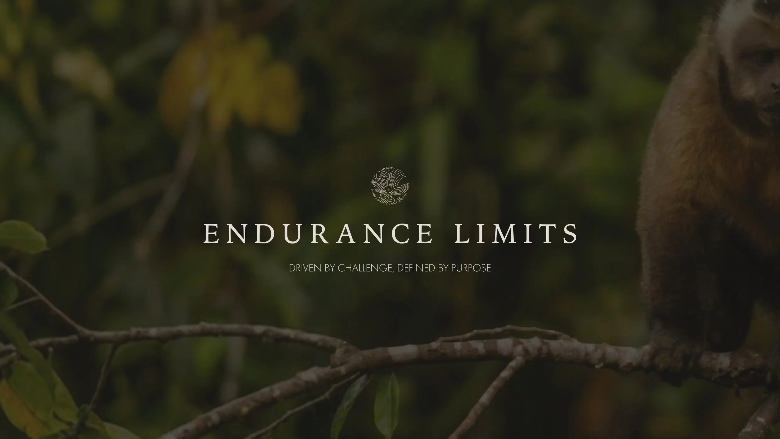BCLR luxury branding for Endurance Limits in aid of GOSH, featuring primary stacked logo and visual identity by a luxury design studio.