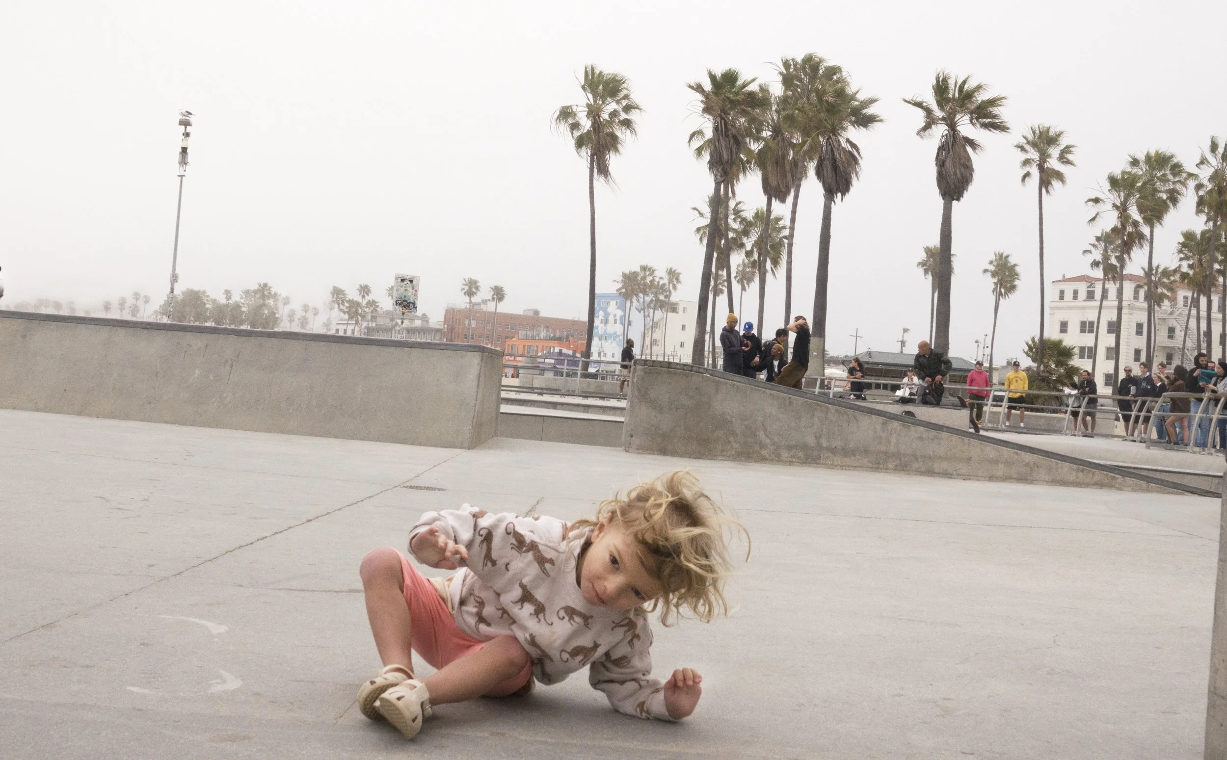 DSC01240 copy copy.jpg