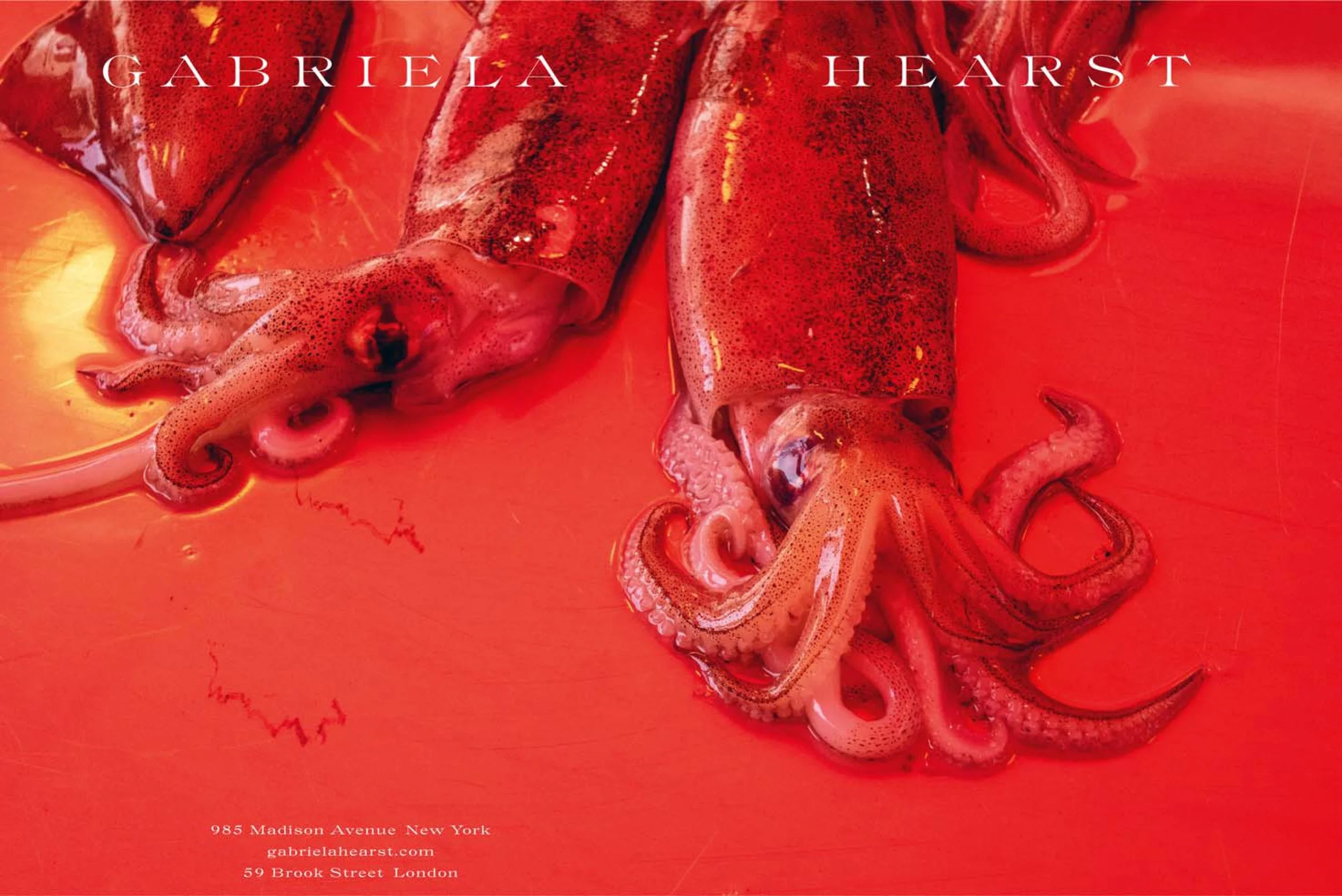 LJ_Portfolio_0624-1 copy.jpg