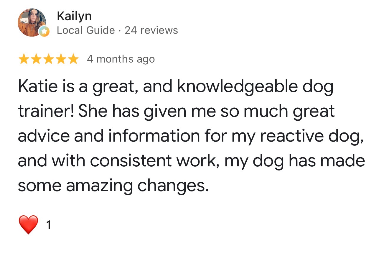Dog training Greensboro, NC