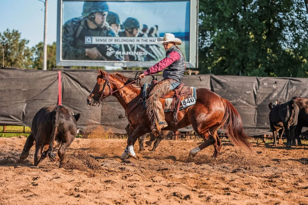 OZS ROYAL METAL - (RUSTIC METAL X OZS ROYAL CAT) PURCHASED BY G&R QUARTER HORSES IN 2022. TRAINED AND SHOWN BY TWISTED FATE PERFORMANCE HORSES. MULTIPLE GRAND AND RESERVE CHAMPIONS ALONG WITH SEVERAL TOP 10 PLACINGS IN THE COW HORSE EVENTS.