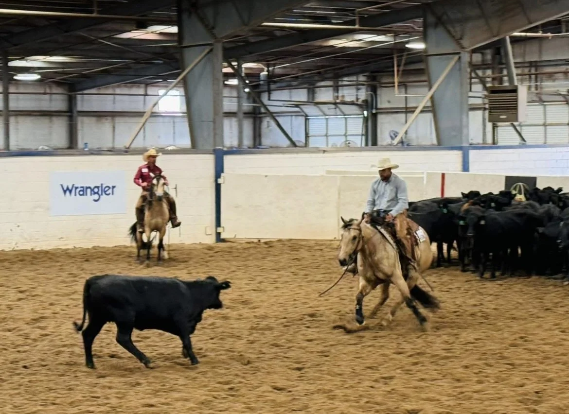 SURE BEATS FARMIN - (RL STYLING REY X LADY PAT RED BUCK) BRED BY G&R QUARTER HORSES BOUGHT BY KRIS KLINGAMAN AS A 2 YEAR OLD AND SHOWN BY MORGAN SNYDER TO BE THE 2025 NATIONAL VRH JR HIGH POINT CHAMPIONS. WE ARE VERY BLESSED TO BE A PART OF THIS SUCC