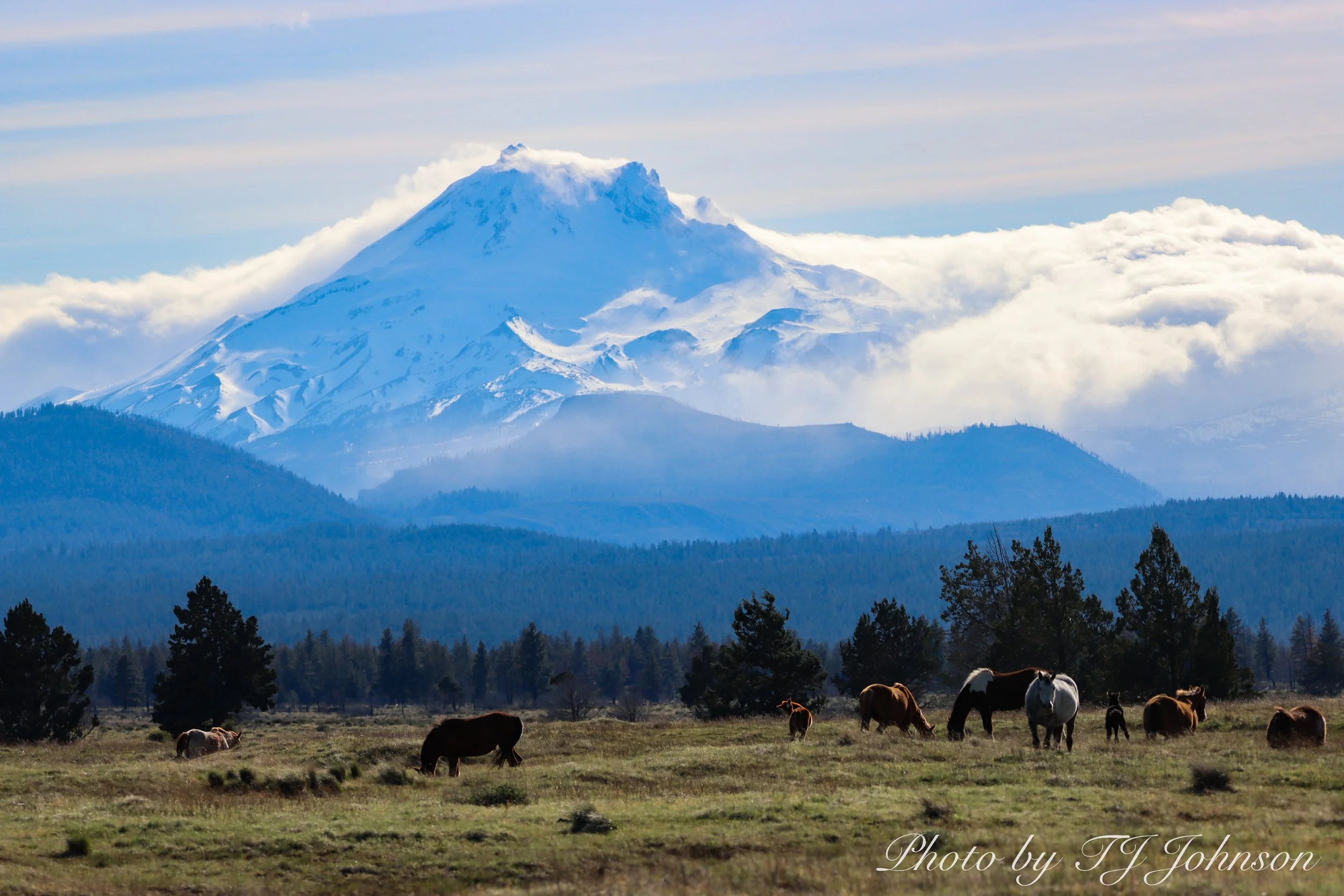 Central Oregon