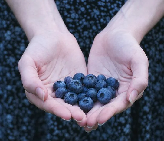 blueberries.jpg