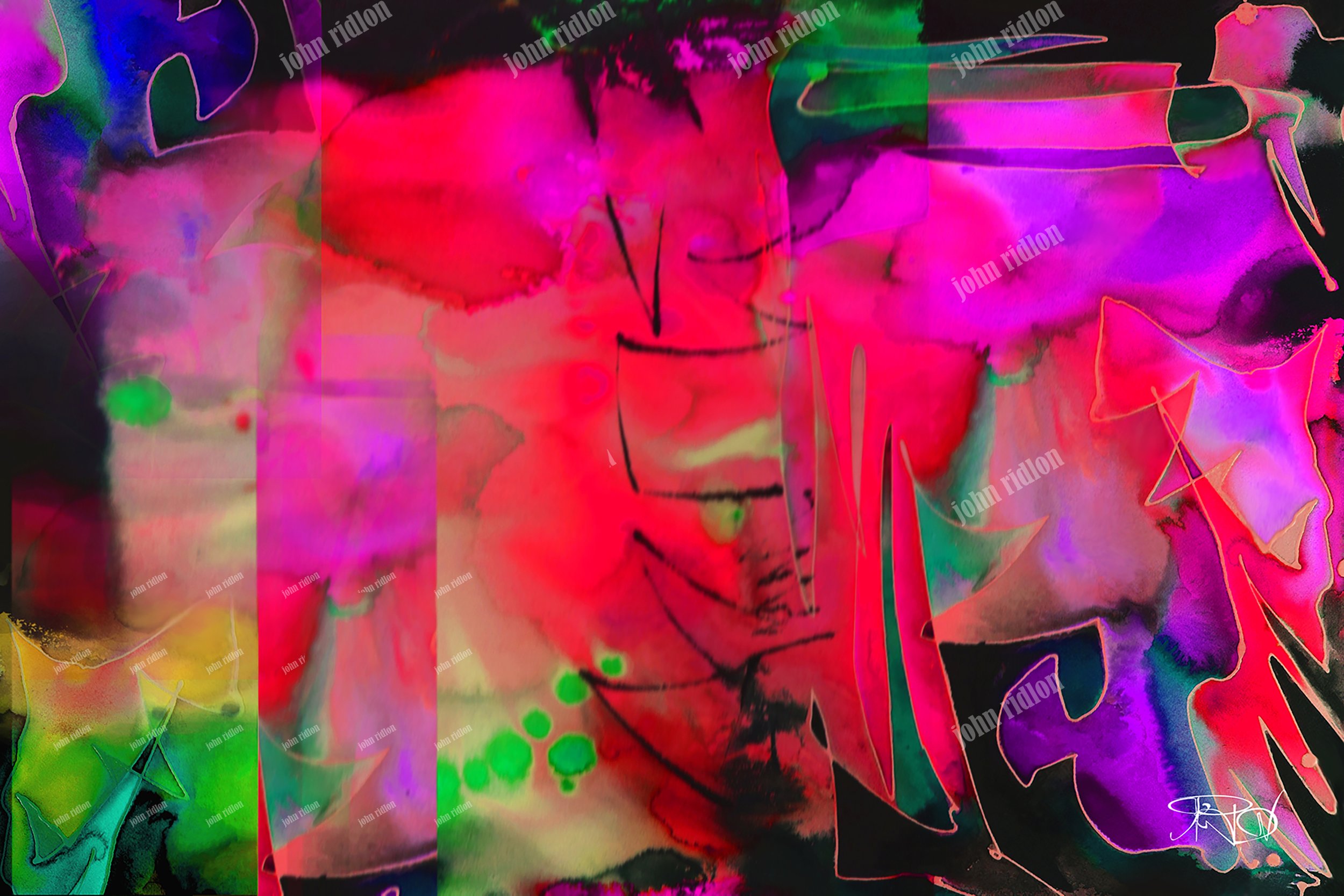 Pellucidia17 mb.jpg