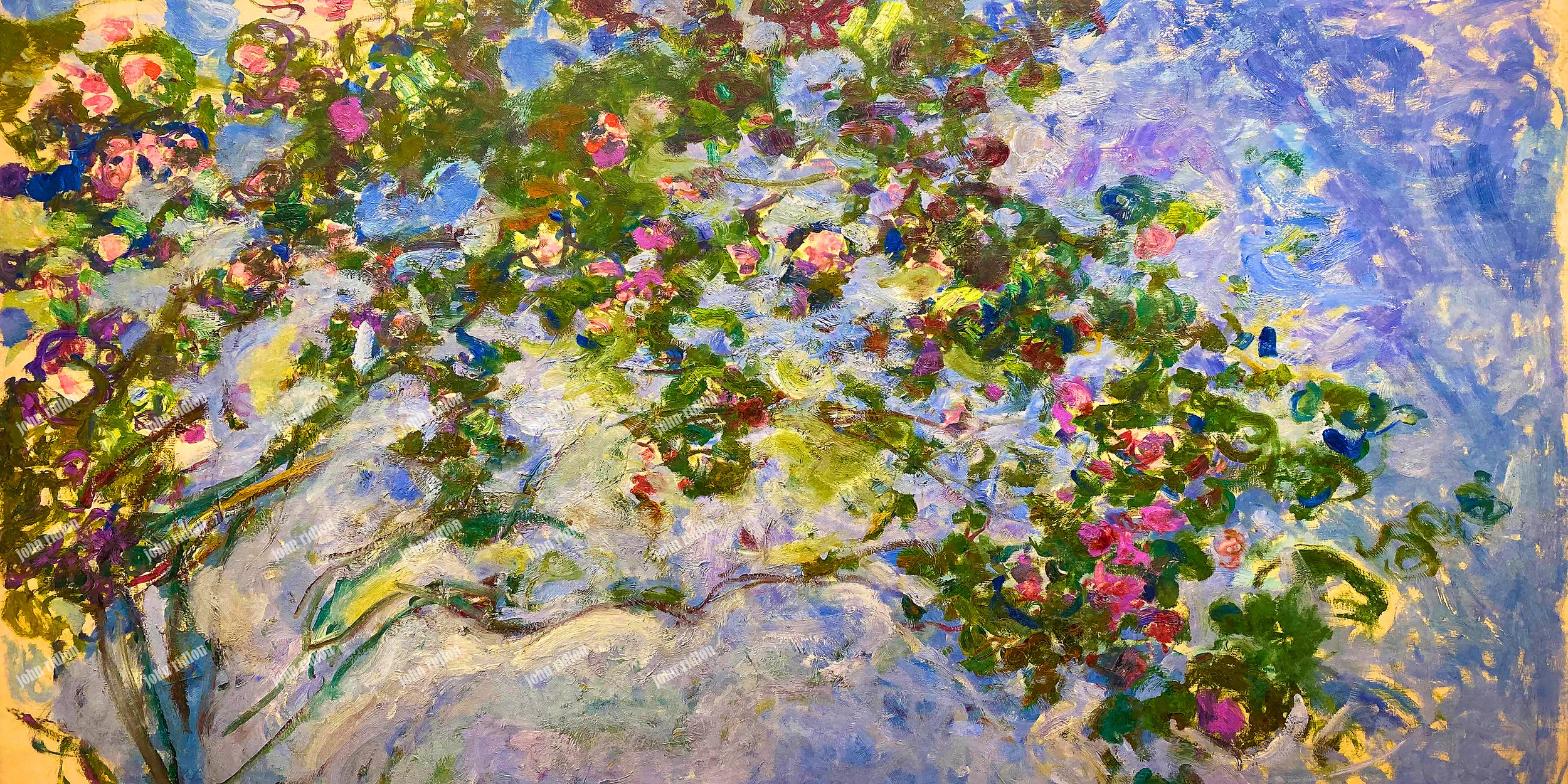 Springtime Apple Blossoms 1 17mb.jpg