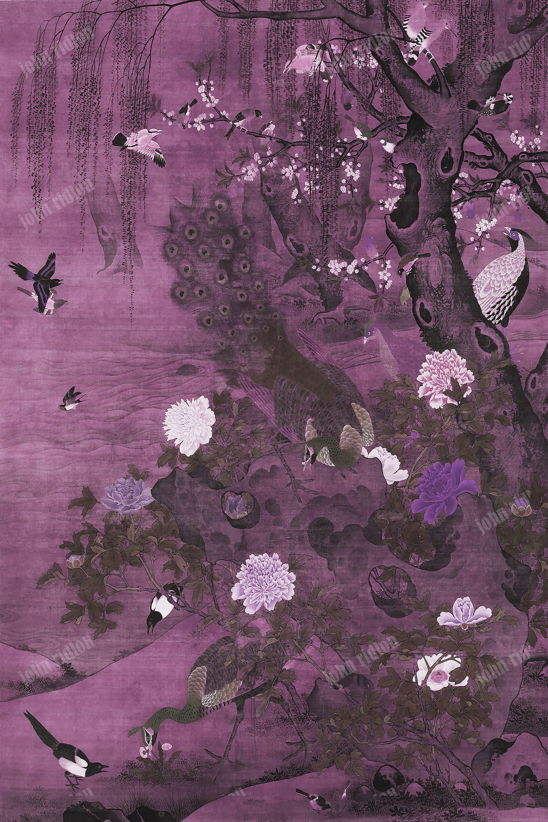 Birds Gather 02 17mb.jpg