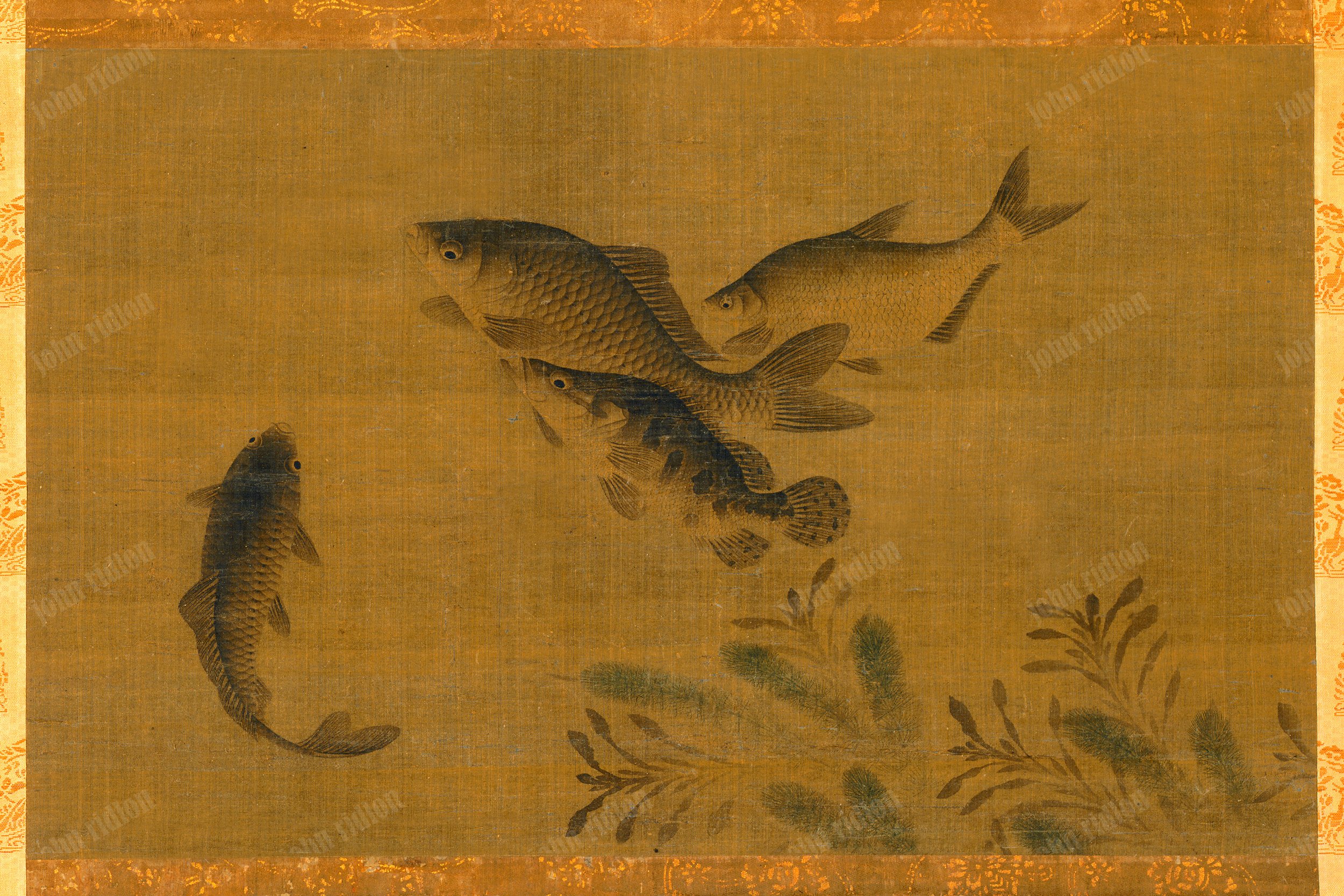 Fish 1 17mb.jpg