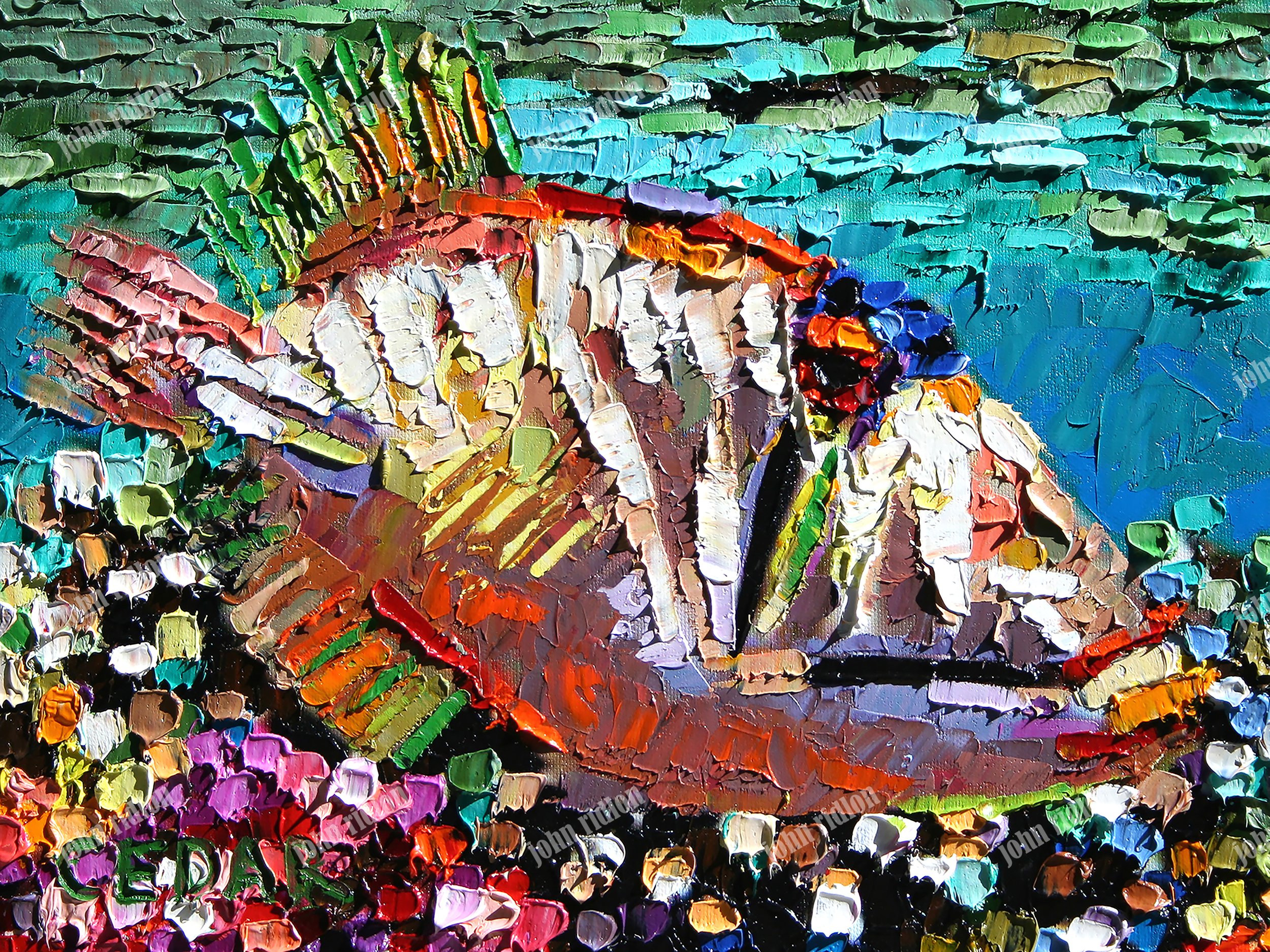 _Picasso_Trigger_Fish_ 17mb.jpg