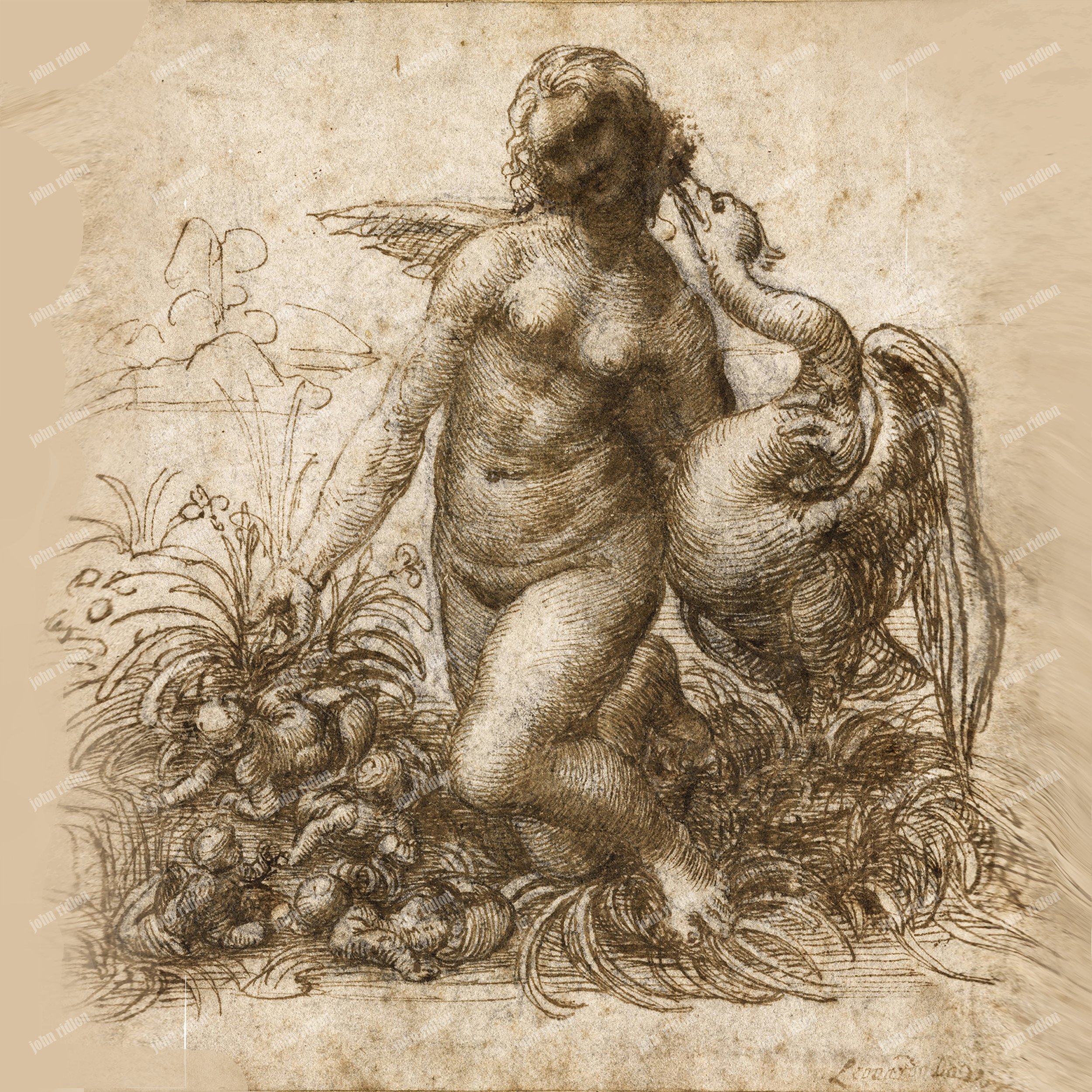 Disegni_per_la_Leda 17mb.jpg