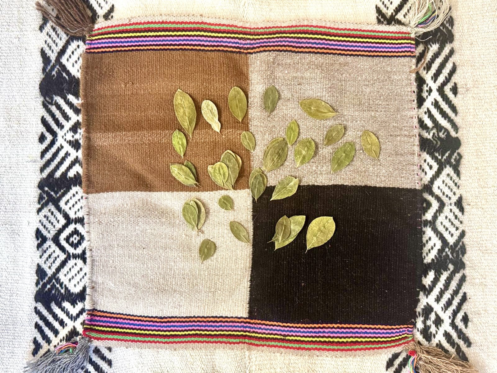 WhatsApp Image 2026-04-03 at 11.35.00 (1) 2.jpeg