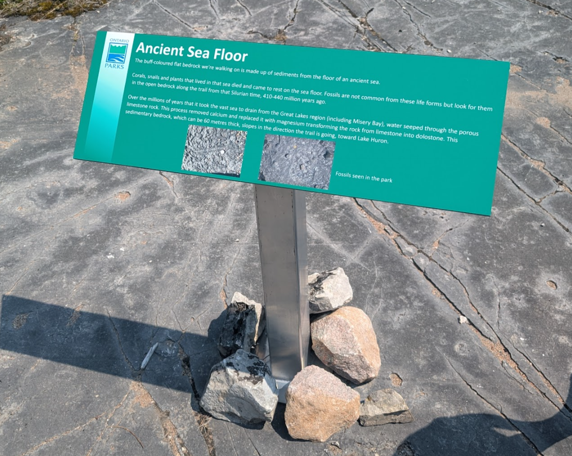 Screenshot 2026-03-02 074920.png