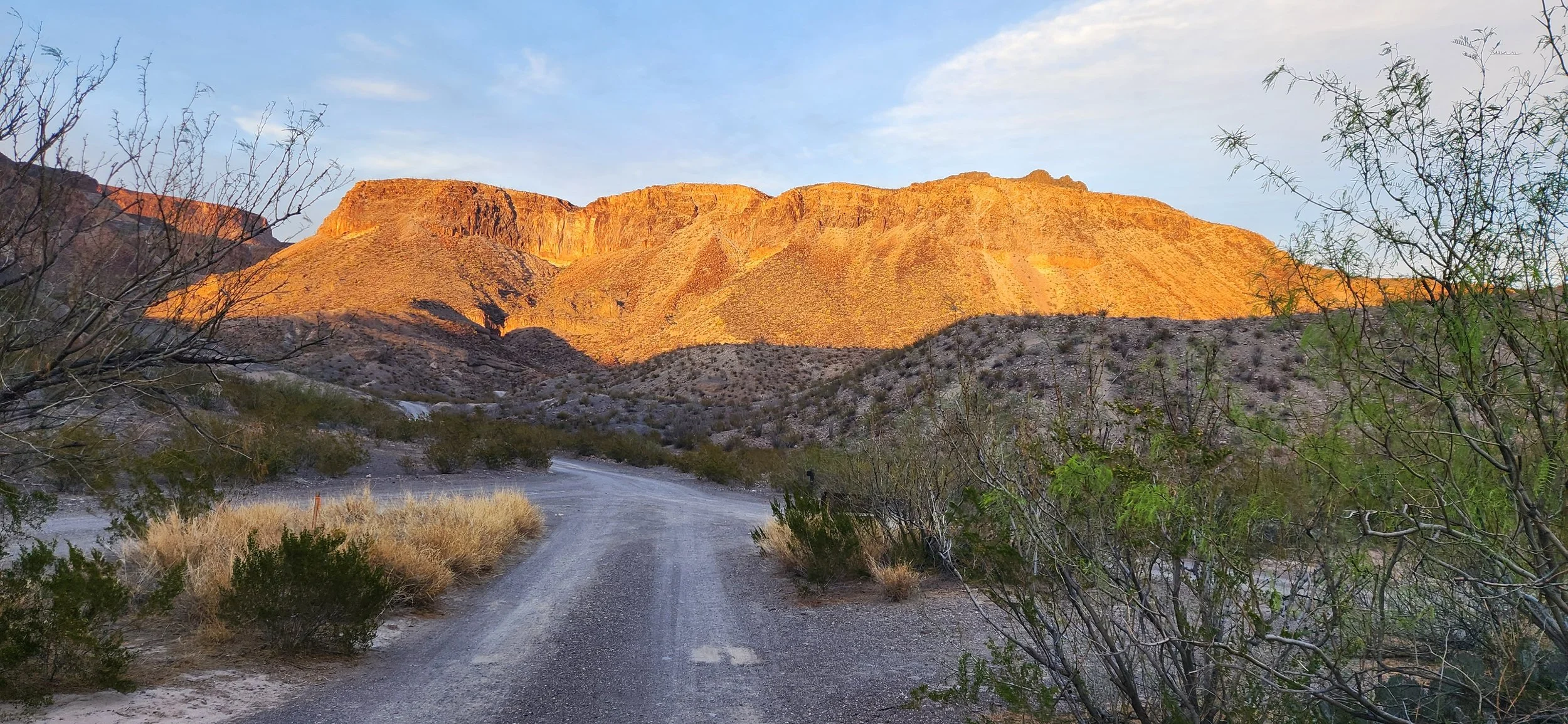 Renewed By The Desert