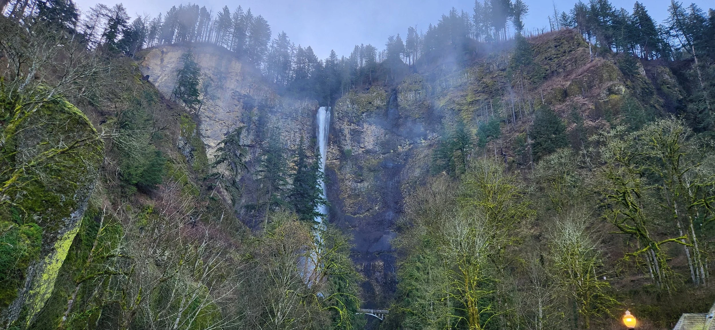 Lost In The Beauty 