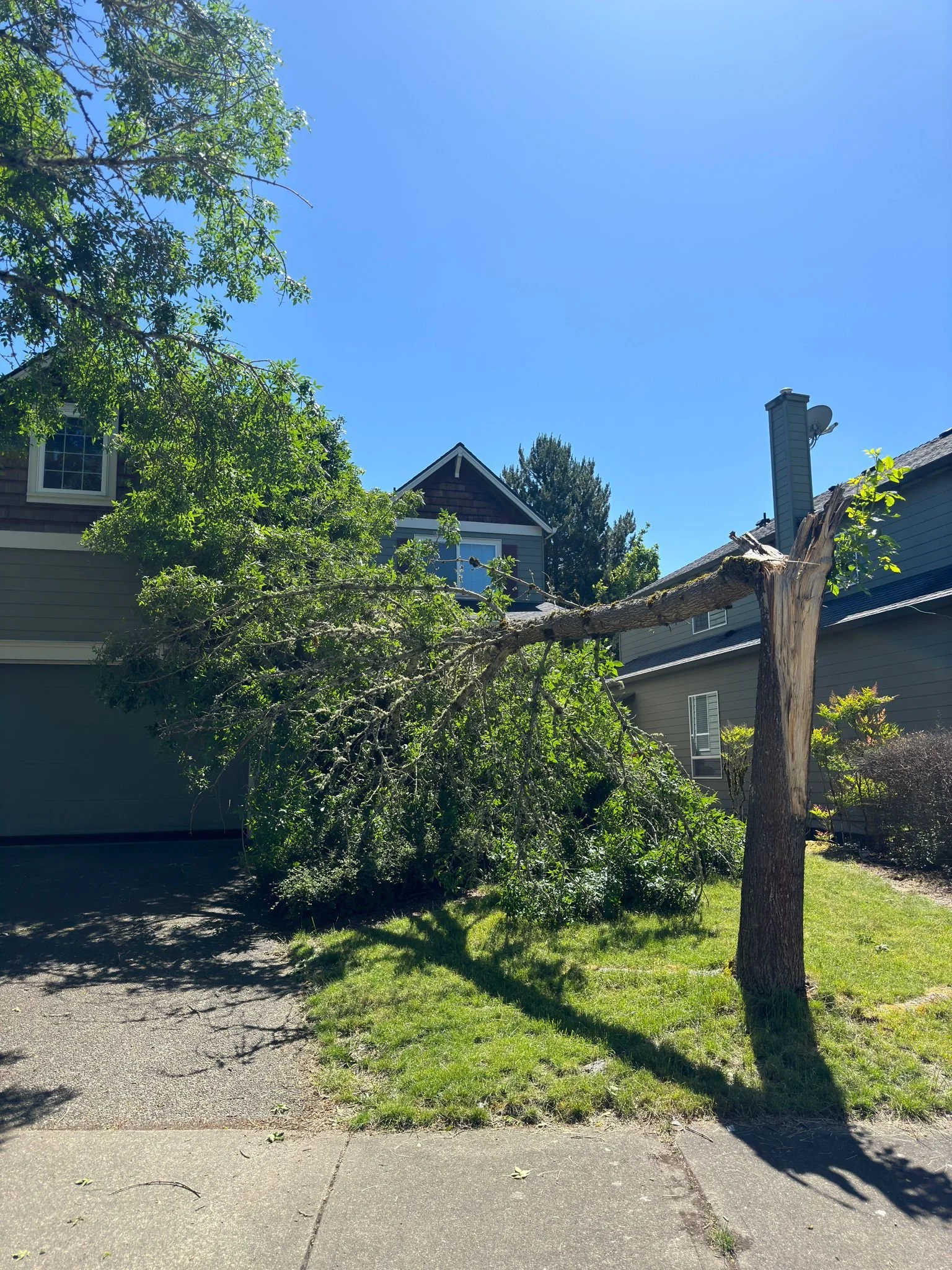 WhatsApp Image 2024-07-05 at 6.35.14 PM.jpeg