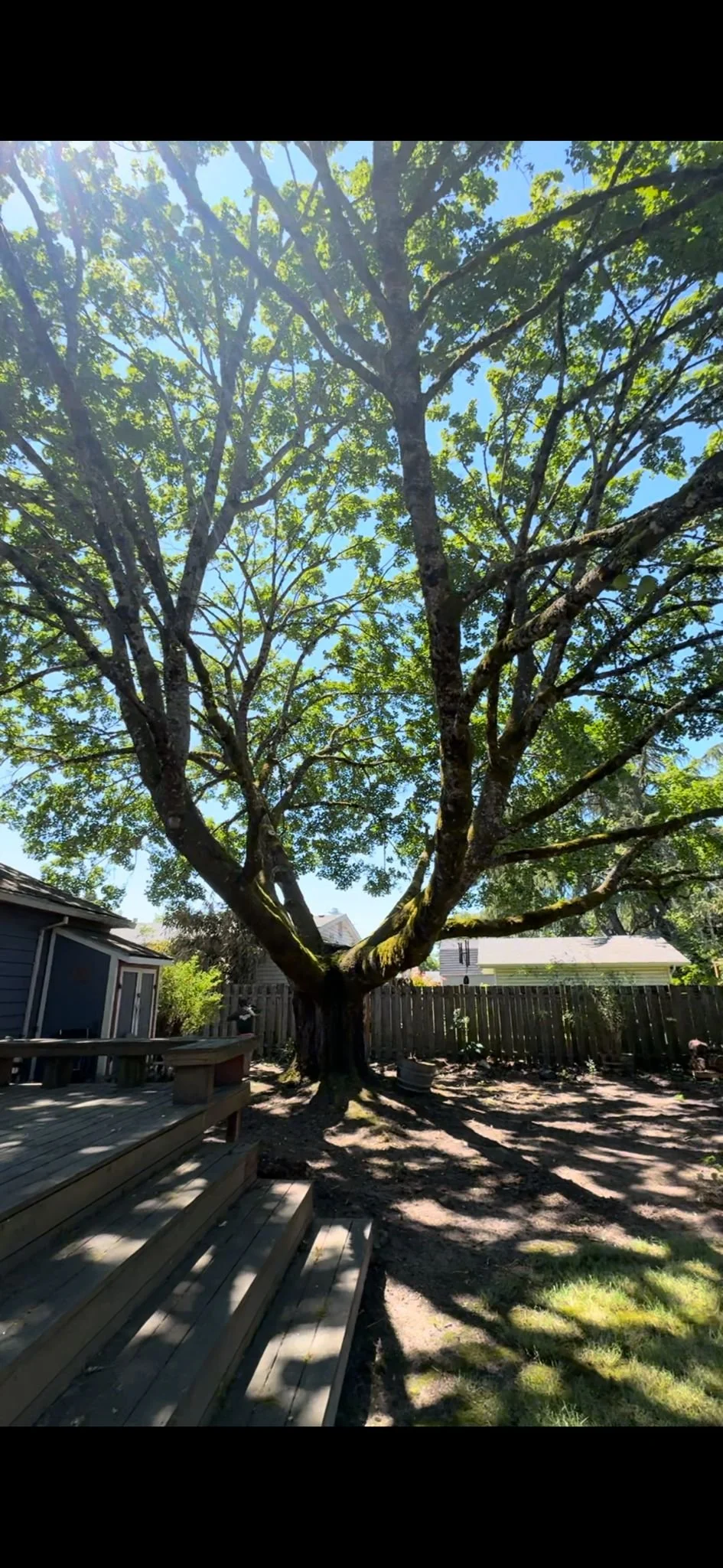 WhatsApp Image 2024-07-06 at 8.41.06 PM.jpeg