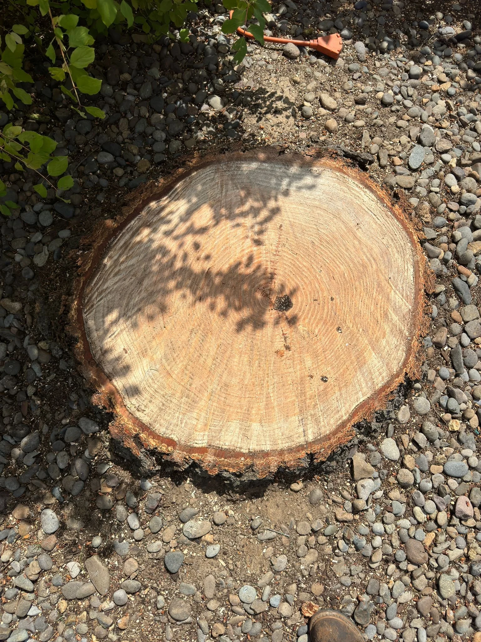 WhatsApp Image 2024-07-06 at 8.46.57 PM (1).jpeg