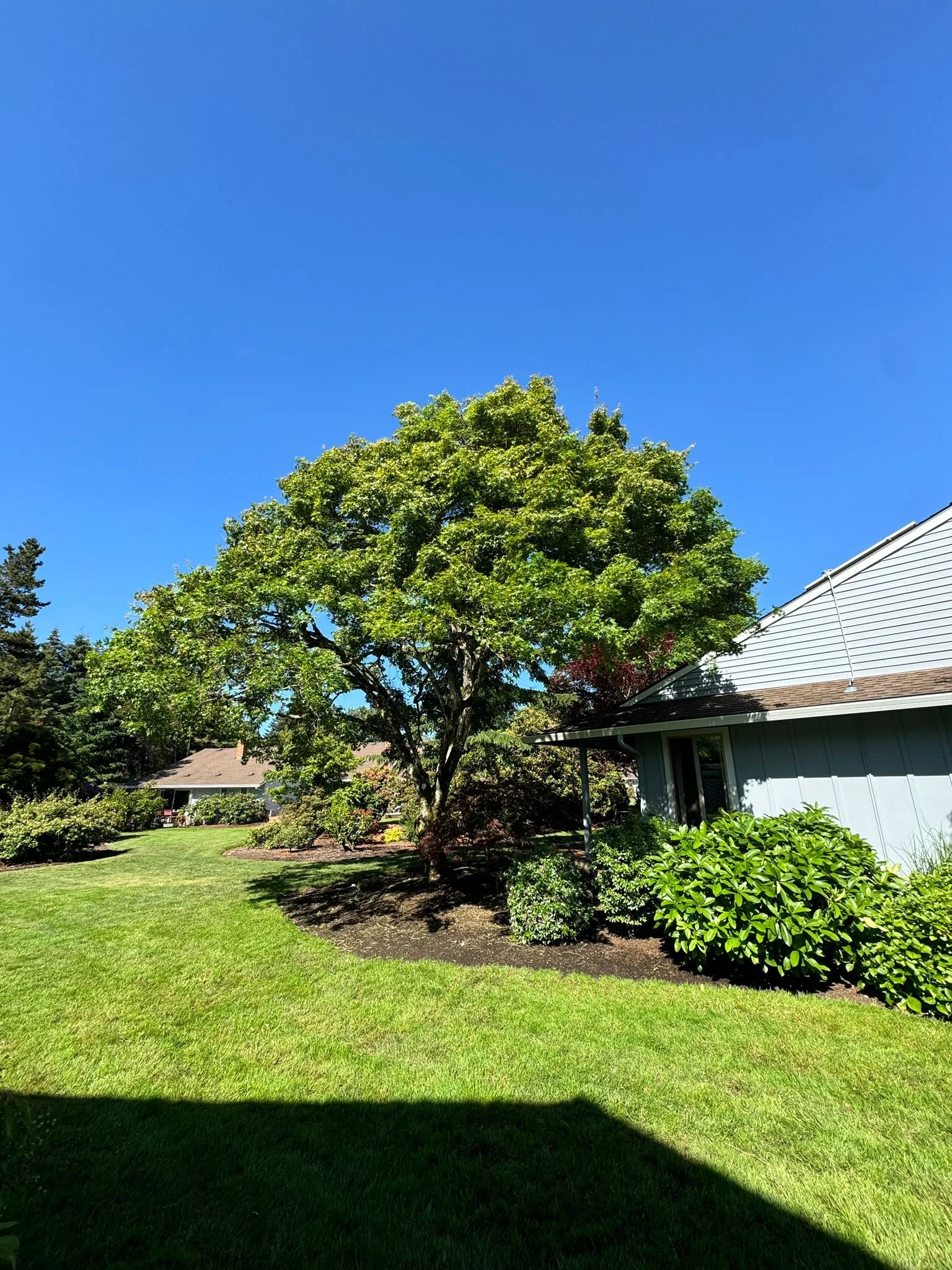 WhatsApp Image 2024-07-05 at 6.32.19 PM (1).jpeg