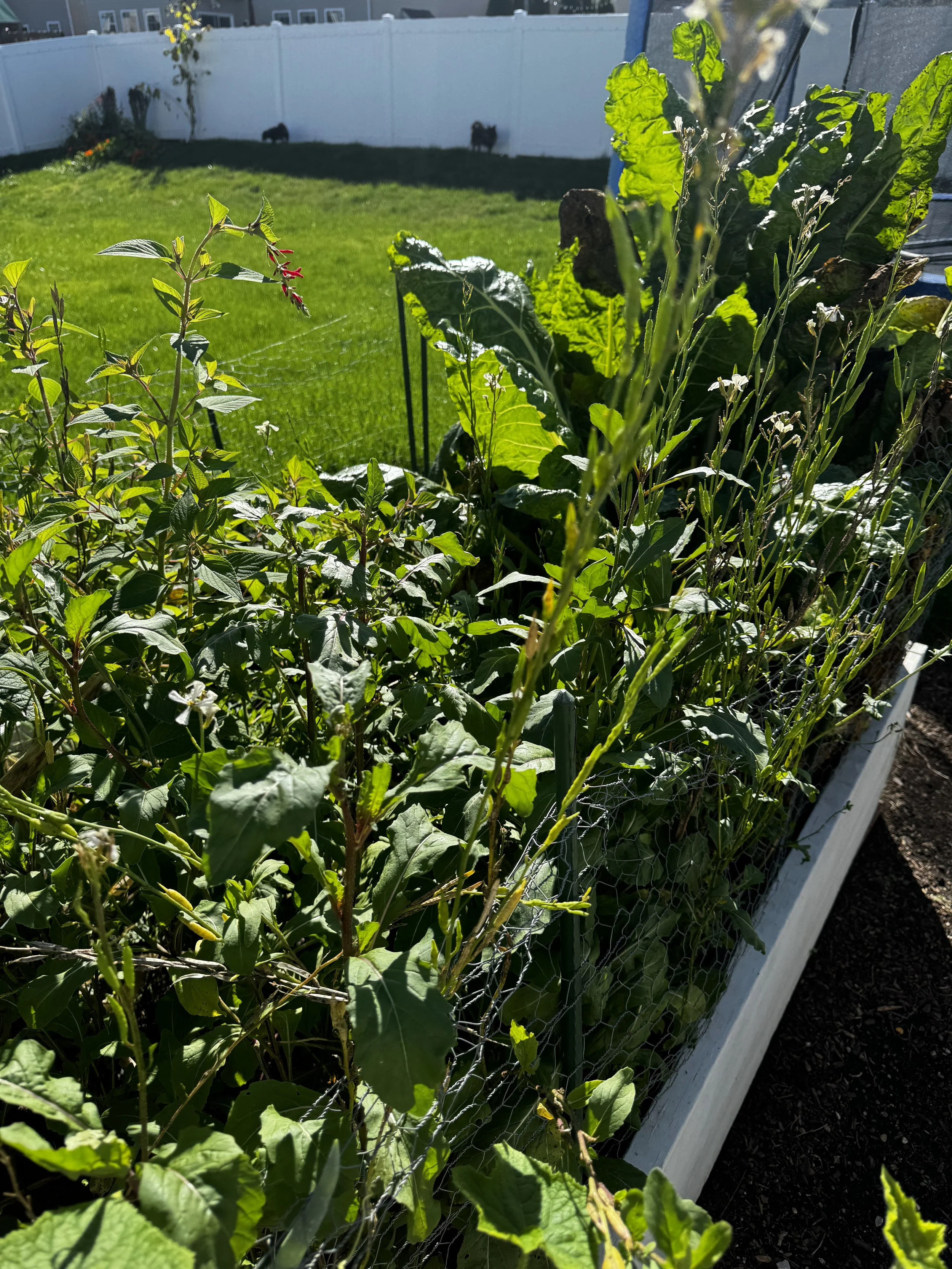 IMG_7982.jpeg (Copy)