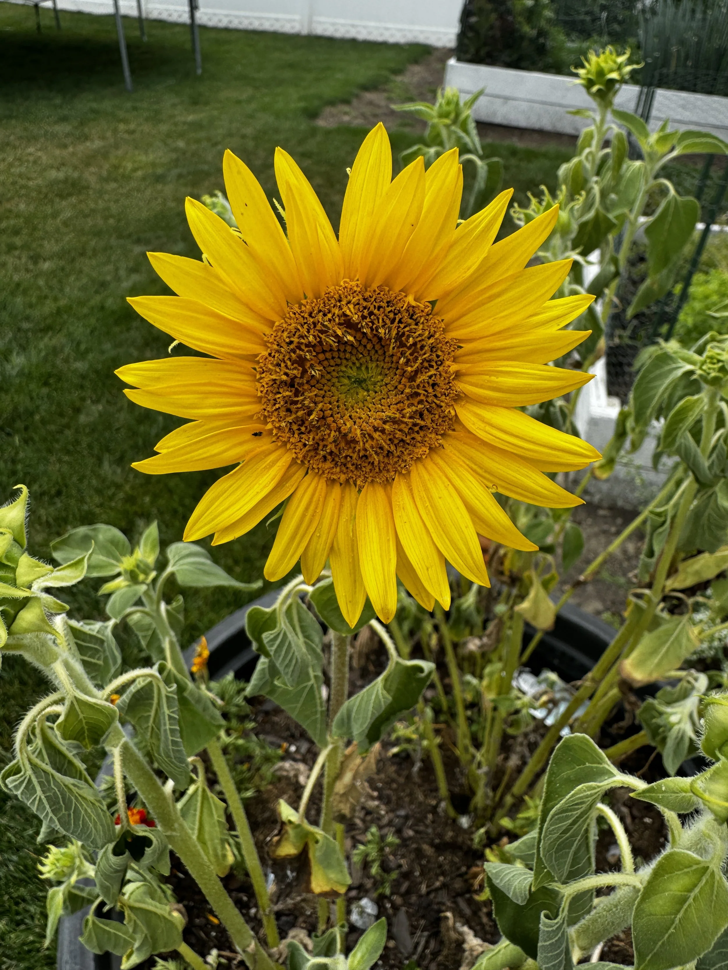 IMG_5504.jpeg (Copy)