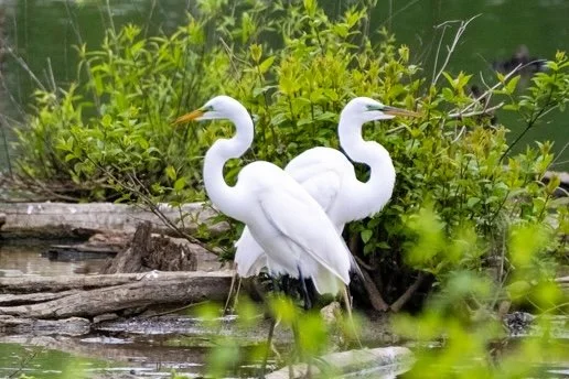 _djw1127.jpeg (Copy)