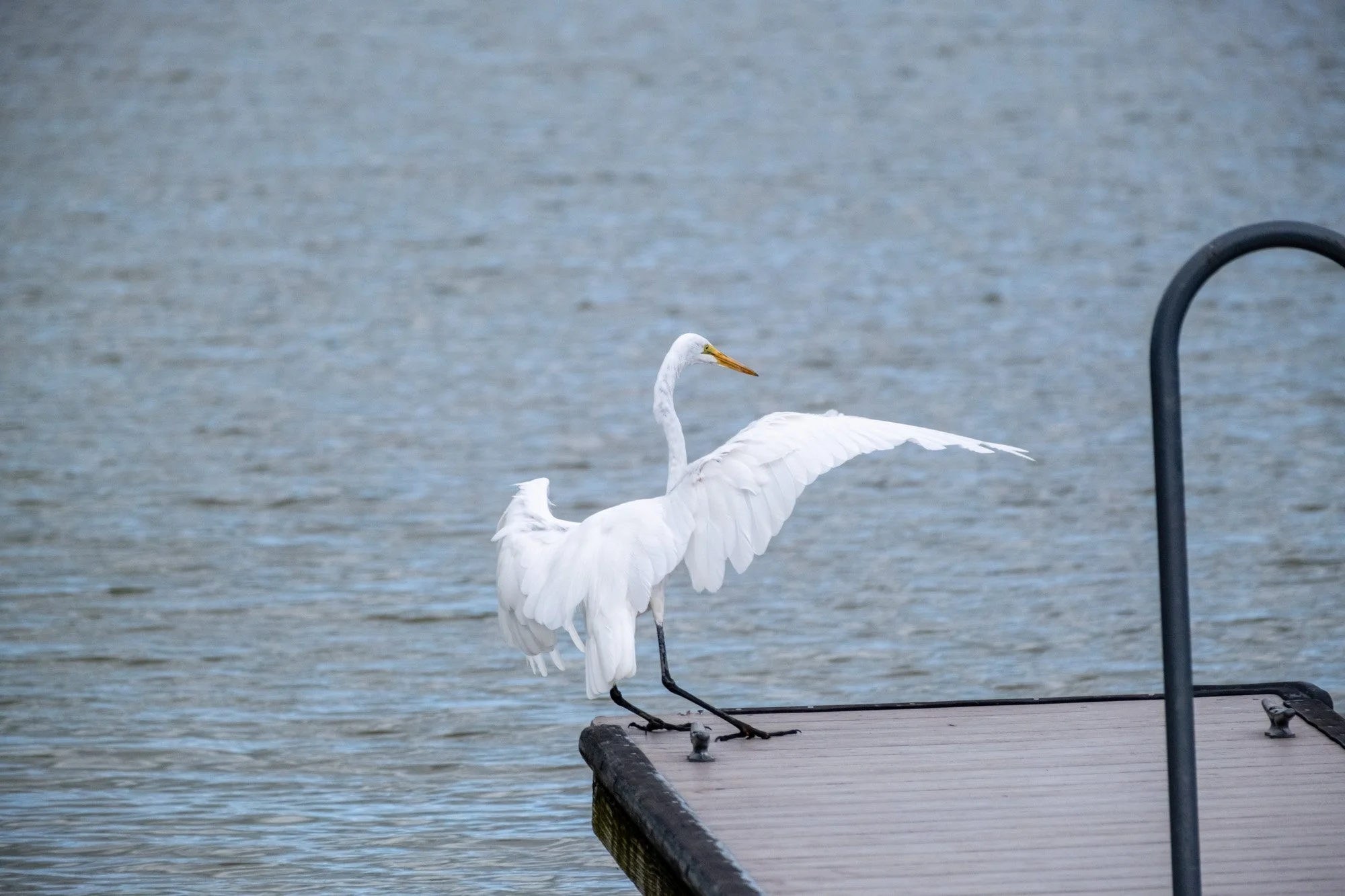 _djw3373.jpeg (Copy)