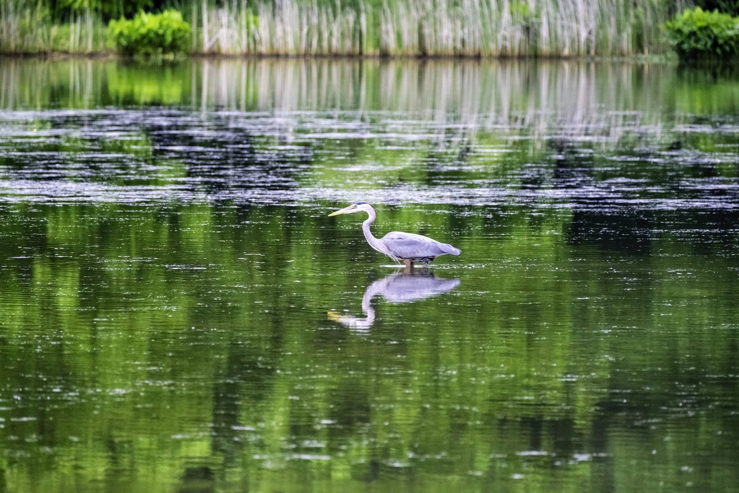 _djw1069.jpeg (Copy)