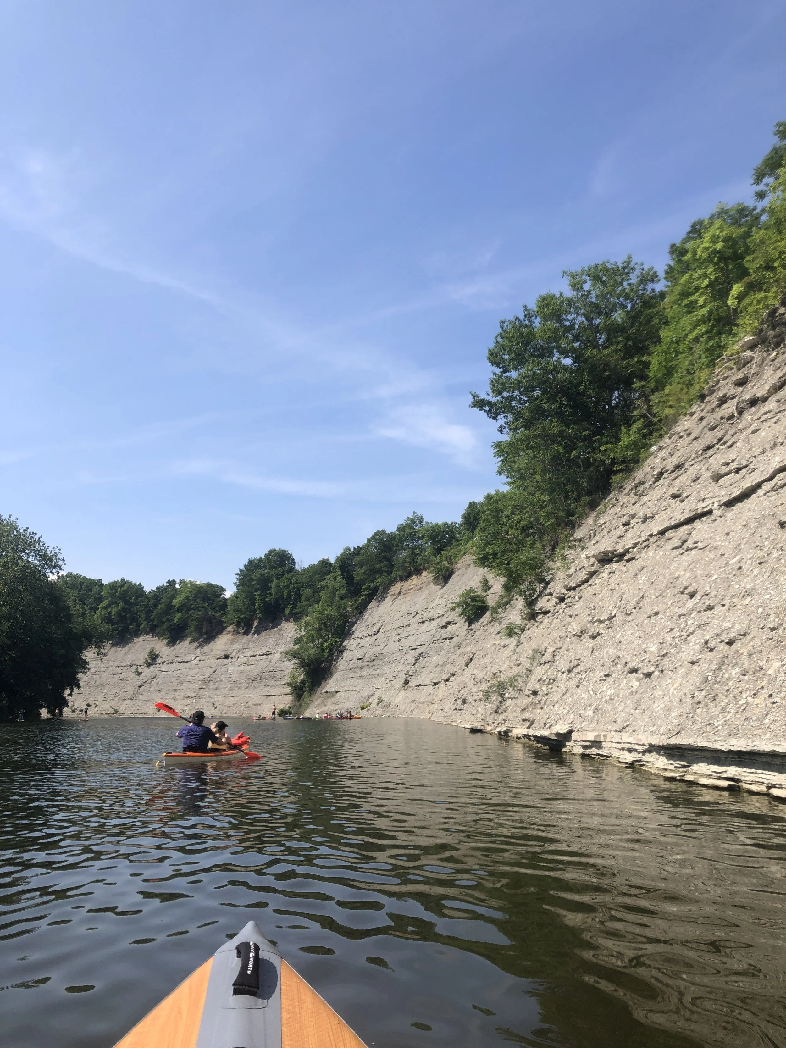 IMG_7611.jpeg (Copy)