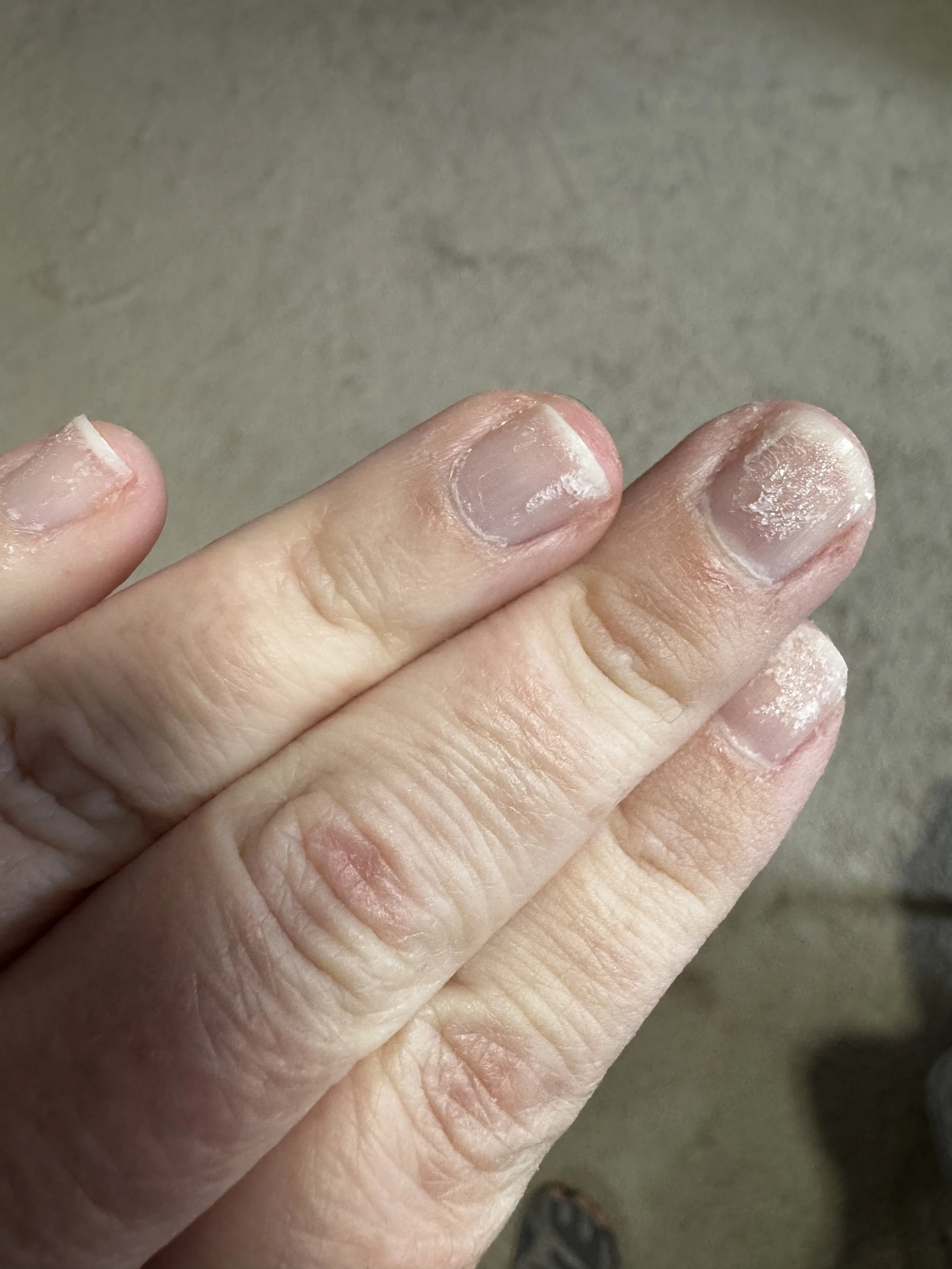 IMG_9338.jpeg (Copy)