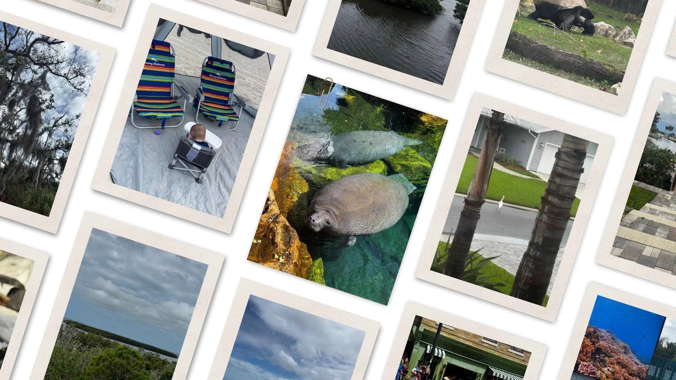 Family Vacation 2026